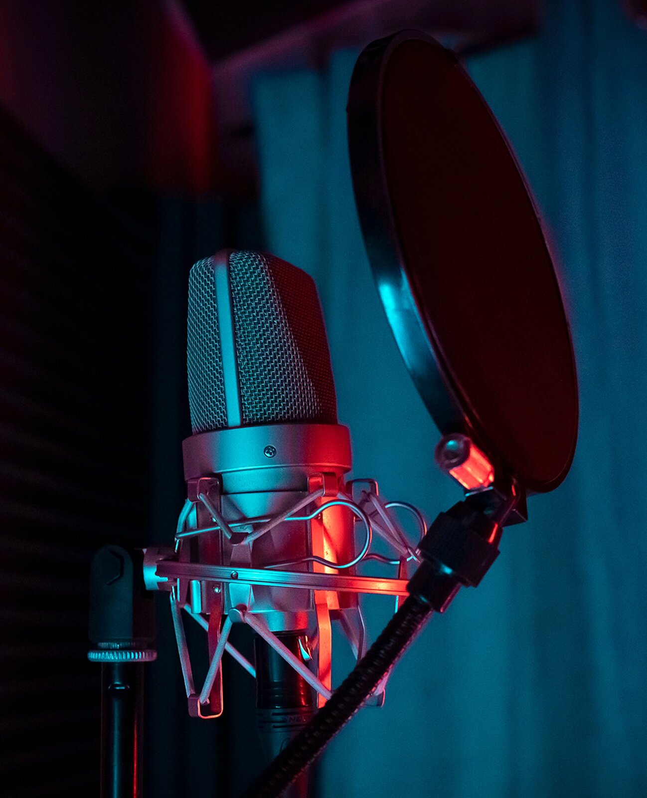 Zdjęcie przedstawia mikrofon z przymocowanym do niego filtrem anty‑pop. Po lewej widać mikrofon wokalowy, w pozycji pionowej, zbudowany z szarej, pionowej membrany, wykonanej z plecionki cienkich drucików, pośrodku której biegnie szeroki czarny pasek. Do membrany przyłączona jest pionowa cewka, zbudowana z poziomo usytuowanych pierścieni w kolorze ciemnoszarym. W dolnej części, po prawej stronie, przymocowany jest czarny prosty uchwyt do zamocowania filtra, z pierścieniem w górnej części, na górze którego widać okrągły czarny element, pokazany z boku.