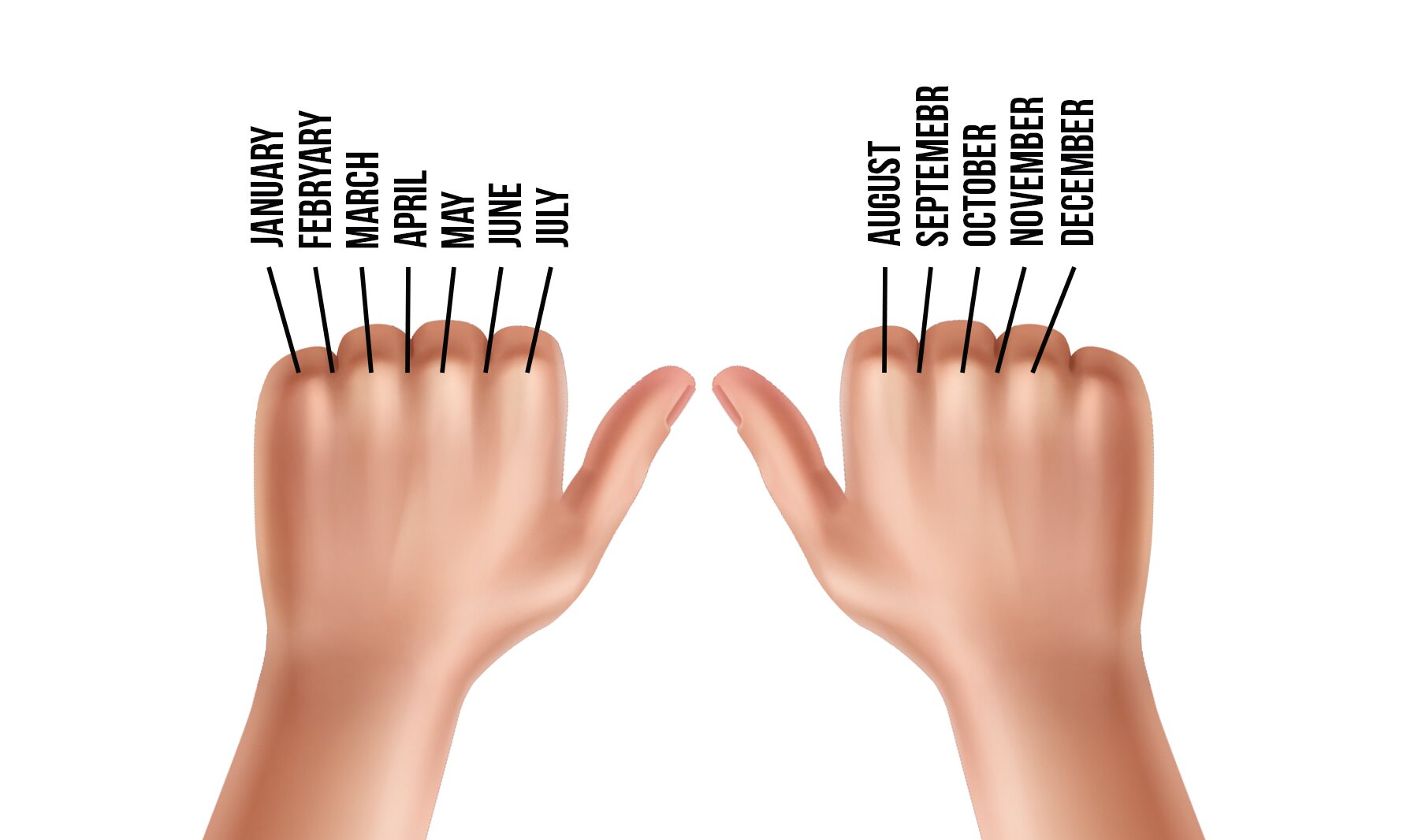Grafika przedstawia prawą i lewą dłoń od wysokości nadgarstka. Dłonie są złożone w pięść, a kciuki odchylone na boki. Do każdej kostki palca przypisana jest nazwa mięsiąca w języku angielskim. Kostka małego palca  lewej ręki zaczyna rok: JANUARY. Następnie widoczne są nazwy kolejnych miesięcy: FEBRUARY, MARCH, APRIL, MAY, JUNE, JULY, AUGUST, SEPTEMBER, OCTOBER, NOVEMBER, DECEMBER.