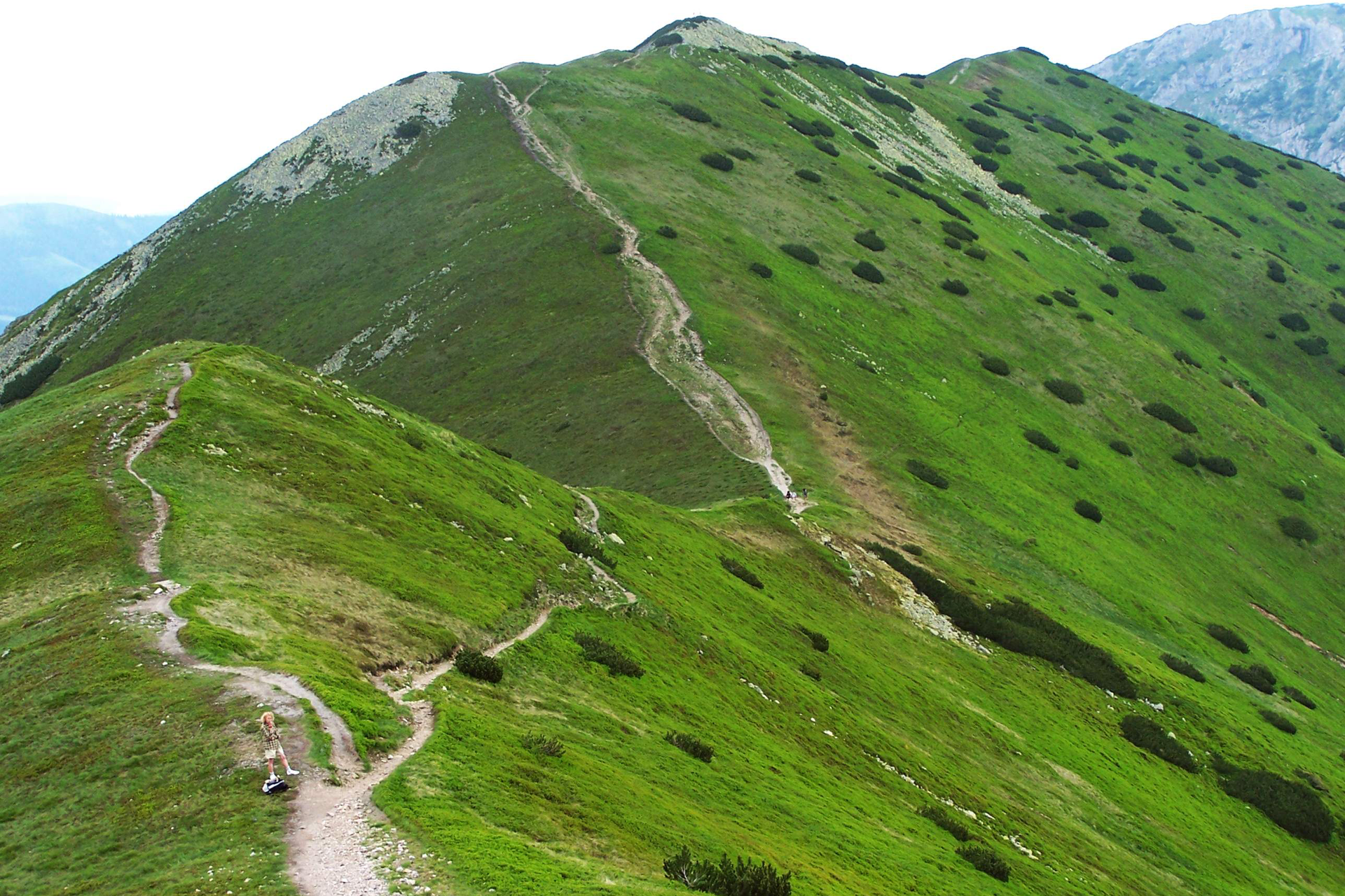 Fotografia prezentuje wygląd pietra hal. Na fotografii widoczna jest wielka, stożkowata grań z obu stron porośniętą zieloną trawą.