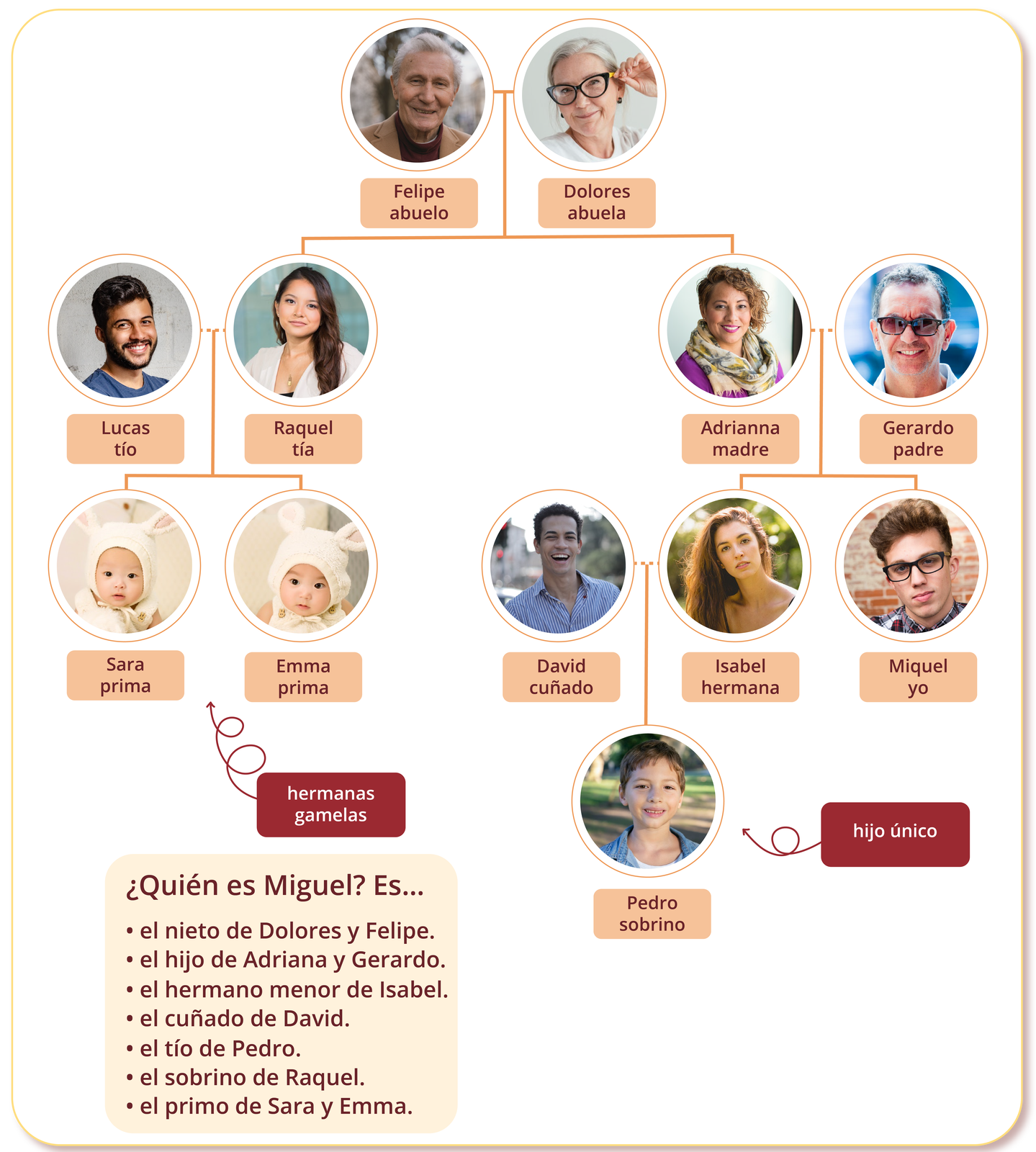 Grafika przedstawia rodzinę Miguela w formie drzewa genealogicznego. Na górze znajdują się dwa zdjęcia. Straszy mężczyzna o siwych włosach podpisany jest Felipe abuelo. Obok niego starsza kobieta w siwych włosach i okularach podpisana Dolores abuela. Od tej pary odchodzą dwie linie do zdjęć dwóch kobiet. Z lewej strony widoczne jest zdjęcie młodej kobiety podpisane Raquel tía. Jej zdjęcie połączone linią ze zdjęciem młodego mężczyzny podpisanego Lucas tío. Od tej pary odchodzi linia w dół do zdjęć dwóch małych dziewczynek. Zdjęcie dziewczynki z lewej strony podpisane jest Sara prima a zdjęcie dziewczynki z prawej strony podpisane jest Emma prima. W kierunku ich zdjęć jest również strzałka z podpisem hermanas gamelas. Linia odchodząca od starszej pary w prawą stronę wskazuje drugą kobietę podpisaną jako Adrianna madre. Jej zdjęcie połączone linią ze zdjęciem mężczyzny podpisanego Gerardo padre. Od tej pary odchodzi linia w dół do zdjęć dwójki młodych ludzi. Z prawej strony widoczne jest zdjęcie młodego mężczyzny podpisane Miquel yo. Zdjęcie dziewczyny z lewej strony podpisane jest Isabel hermana i połączone jest ze zdjęciem mężczyzny podpisanego David cuñado. Od tej pary odchodzi również linia w dół ze zdjęciem kilkuletniego chłopca podpisanego Pedro sobrino. W kierunku jego zdjęcia widoczna jest również strzałka z podpisem hijo único. Dodatkowo u dołu grafiki widoczna jest rama z tekstem: ¿Quién es Miguel? Es… el nieto de Dolores y Felipe. el hijo de Adriana y Gerardo.  el hermano menor de Isabel. el cuñado de David. el tío de Pedro. el sobrino de Raquel. el primo de Sara y Emma..