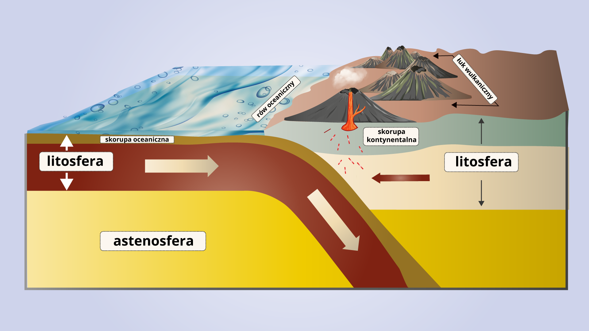 Ilustracja przedstawia przekrój aktywnej krawędzi kontynentu ze strefą subdukcji. Na powierzchni Ziemi na ilustracji od lewej znajduje się woda oceanu, która kończy się rowem oceanicznym przy brzegu. Od prawej strony znajduje się ląd pokryty wulkanami, opisany jako łuk wulkaniczny. Pod powierzchnią wody oceanu znajduje się cienka warstwa skorupy oceanicznej, a pod powierzchnią lądu nieco szersza skorupa kontynentalna. Skorupy te stanowią wierzchnie warstwy litosfery. Pod litosferami znajduje się szeroka warstwa astenosfery, na ilustracji oznaczona na żółto. Płyta litosfery widoczna od lewej strony na ilustracji wygina się łukowato w dół, schodząc poniżej litosfery prawej płyty. Zatem litosfera lewej płyty wcina się w astenosferę prawej płyty. 