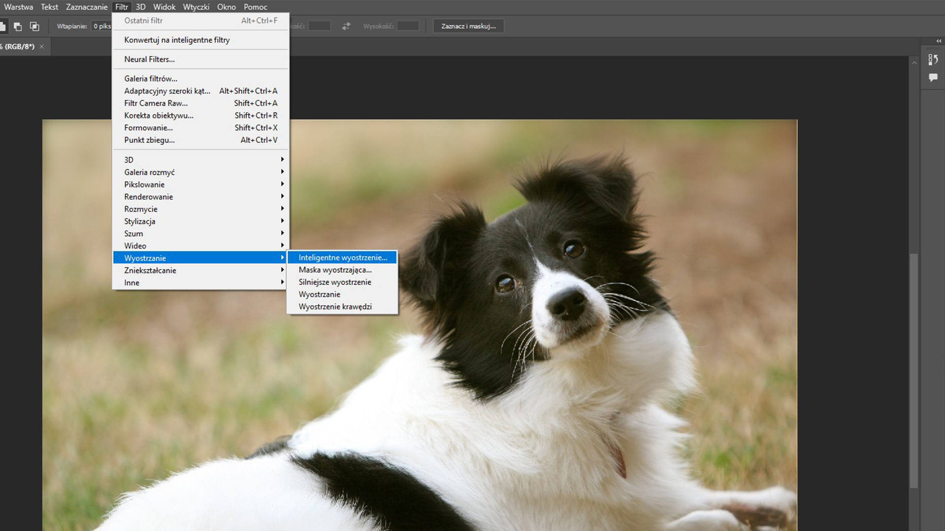 Ilustracja przedstawiająca proces wyostrzenia obrazu. Z menu wybrano Filtr, następnie z listy: Wyostrzanie, a potem Inteligentne wyostrzenie. W obszarze roboczym jest wyraźne zdjęcie psa. Ma dłuższą czarno‑białą sierść. 