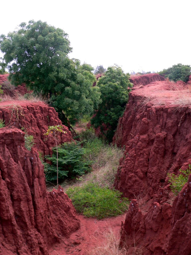Na zdjęciu jest wąski wąwóz między skałami o płaskich wierzchach. Skały mają kolor buraczkowy, tak jak i ziemia w wąwozie. W wąwozie rosną krzewy i drzewa. 