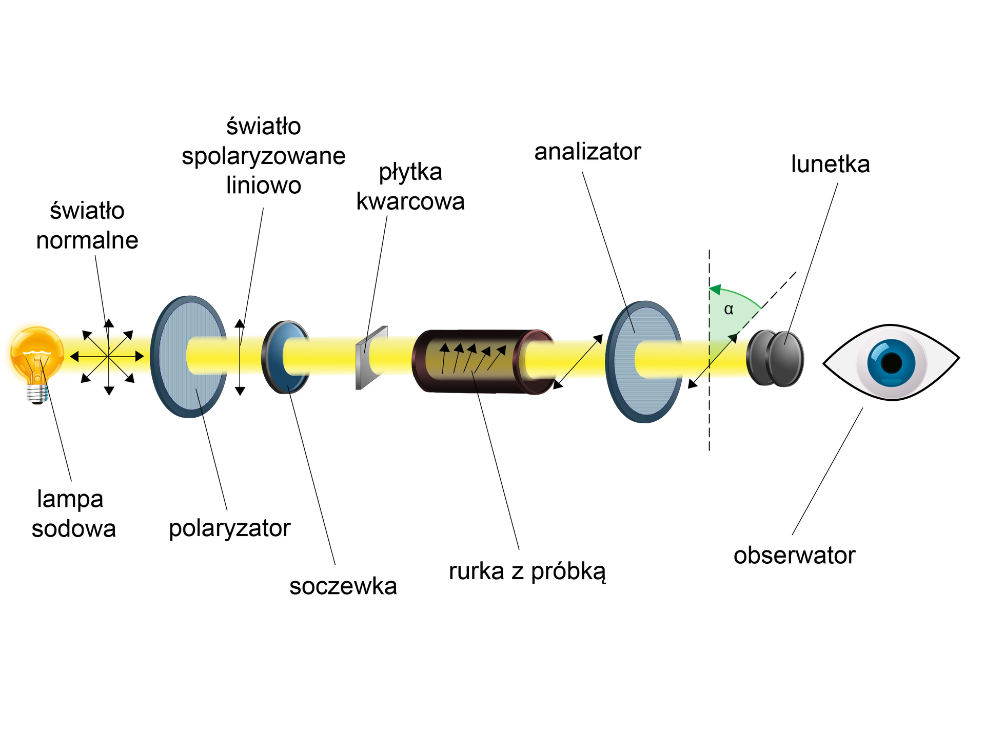 Schemat budowy polarymetru. Polarymetr składa się ze źródła światła (lampa sodowa), polaryzatora, soczewki, płytki kwarcowej, rurki z próbką, analizatora, lunetki. Przez te wszystkie elementy światło dociera do obserwatora. Na ilustracji ludzkie oko.