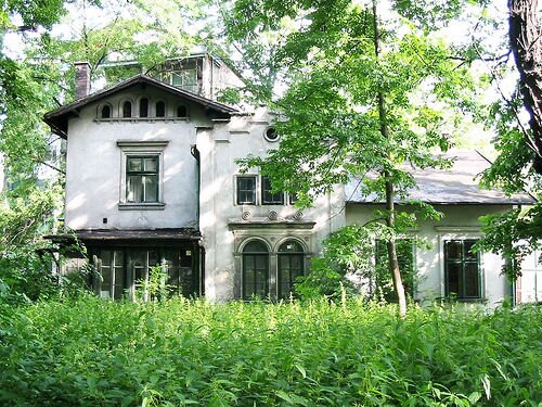 Zdjęcie przedstawia duży, piętrowy dom stojący pośród zieleni. 