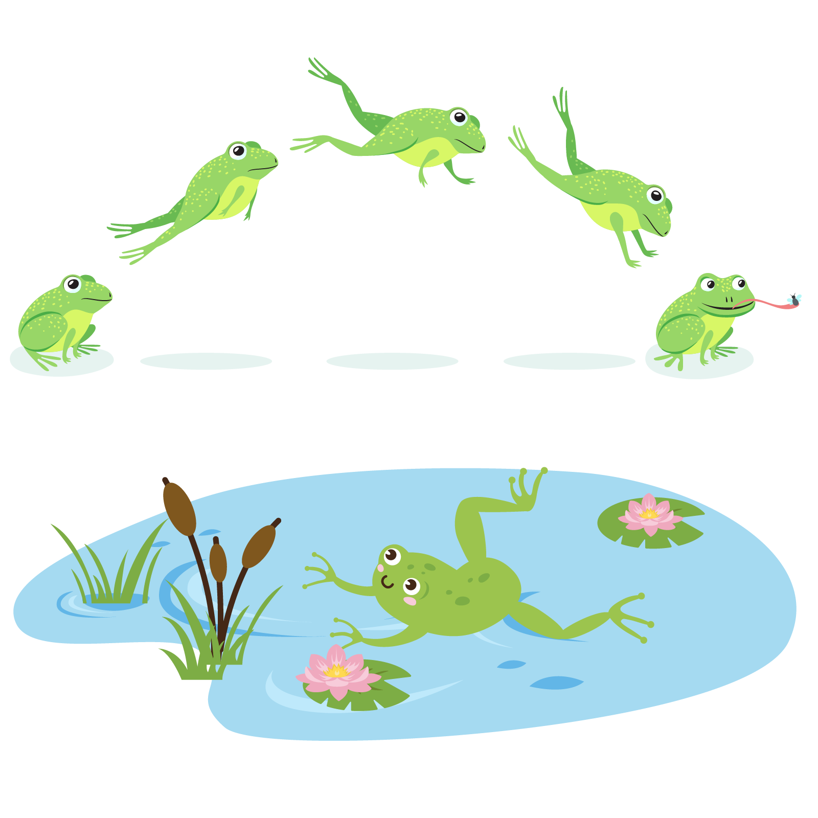 Ilustracja przedstawia oczko wodne, w którym pływa żaba. Nad nią widoczne są inne żaby przeskakujące nad wodą. 