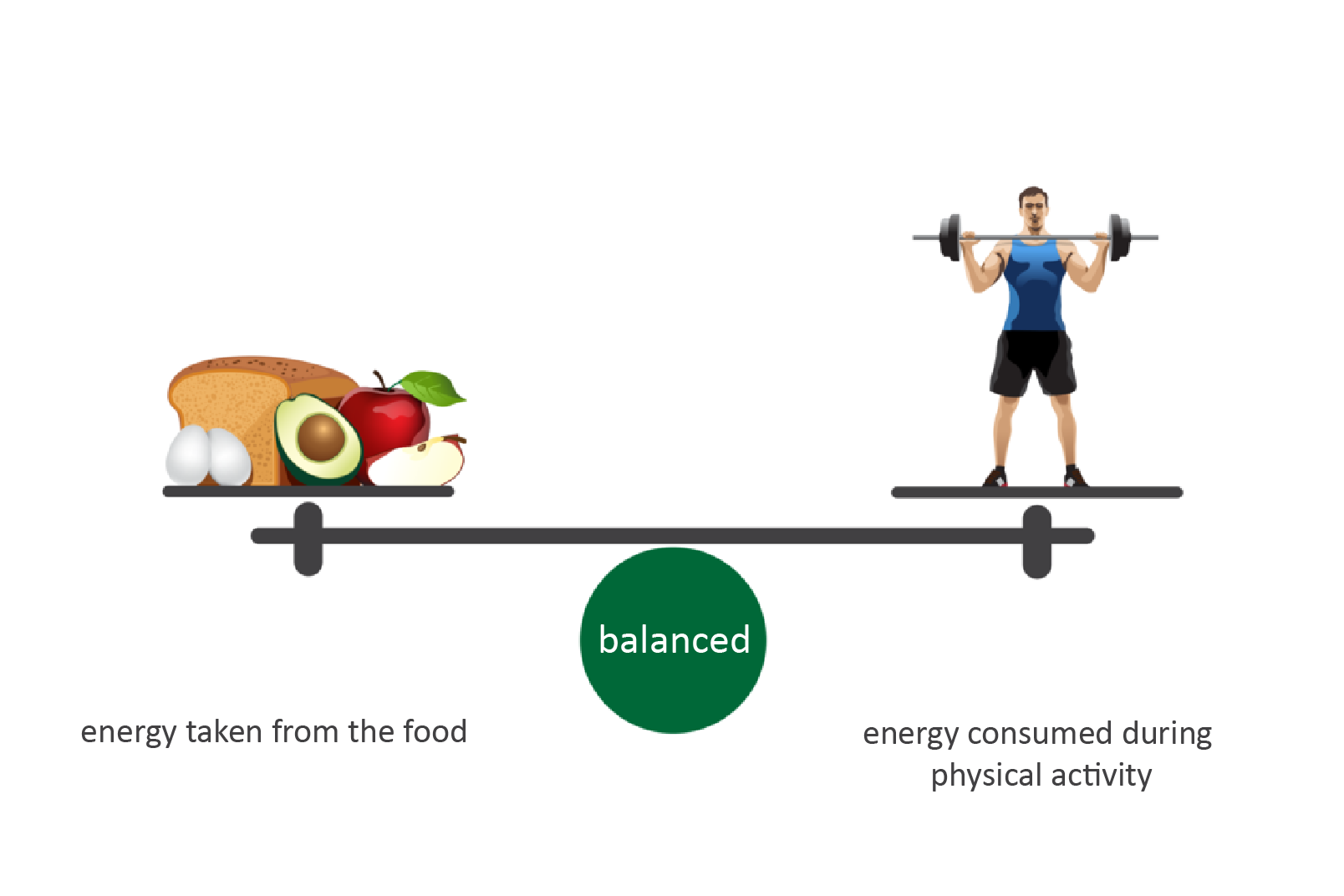 Rysunek przedstawia poziomo belkę wagi na zielonym kole z napisem: zrównoważony (balanced). Z lewej na szali produkty spożywcze: chleb, 2 jajka, kiwi, jabłka. Podpis: energia przyjmowana z pokarmami (energy taken from the food). Z prawej postać atlety ze sztangą. Podpis: energia zużywana podczas aktywności fizycznej (energy consumed during physical activity).