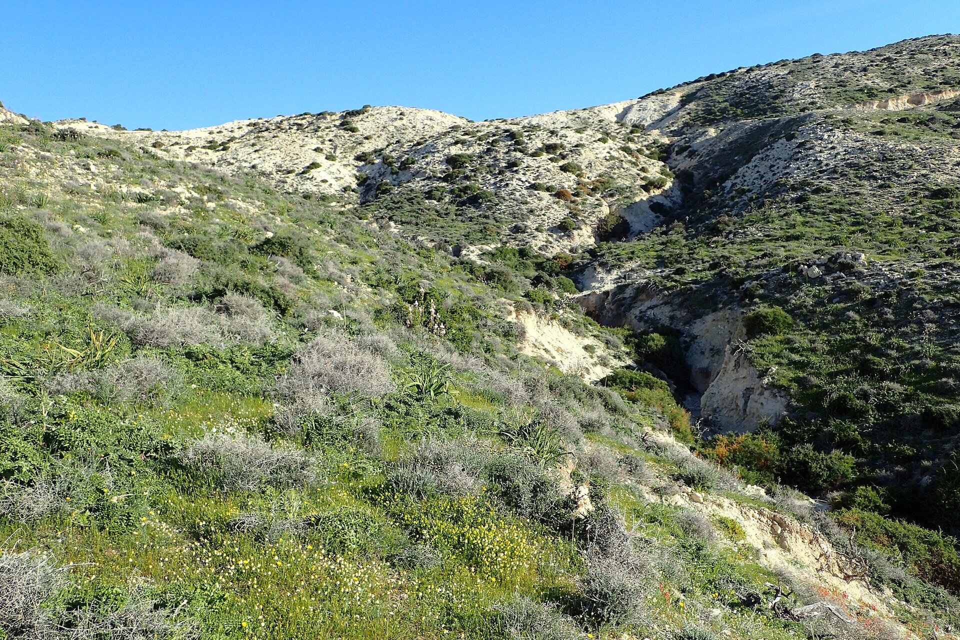 Zdjęcie przedstawia skaliste zbocze o stosunkowo łagodnych stokach, w większości porośnięte niskimi, niewielkimi krzewami. W pozostałych miejscach odkryta biała gleba.
