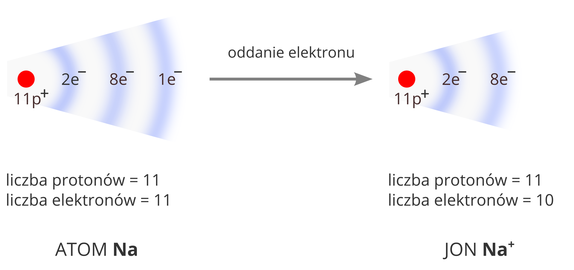 Schemat opisujący zmianę konfiguracji elektronowej atomu sodu podczas powstawania jonu. Po lewej stronie widoczny jest rysunek przedstawiający jądro atomu sodu w postaci czerwonego koła podpisanego 11p+ oraz towarzyszącego mu biało‑fioletowego wachlarza ilustrującego obecność trzech powłok elektronowych. Opisana jest też ich zawartość: 2 elektrony na pierwszej powłoce, 8 elektronów na drugiej powłoce i jeden elektron na trzeciej powłoce. Rysunek podpisany jest następująco: liczba protonów równa 11, liczba elektronów równa 11. Atom Na. Lewą stronę schematu z prawą łączy strzałka skierowana w prawo opisana: oddanie elektronu. Po prawej stronie ponownie widoczny jest rysunek przedstawiający strukturę atomu sodu, ale już z dwiema powłokami elektronowymi mającymi kolejno dwa i osiem elektronów. Rysunek podpisany jest następująco: liczba protonów równa 11, liczba elektronów równa 10. Jon Na+.