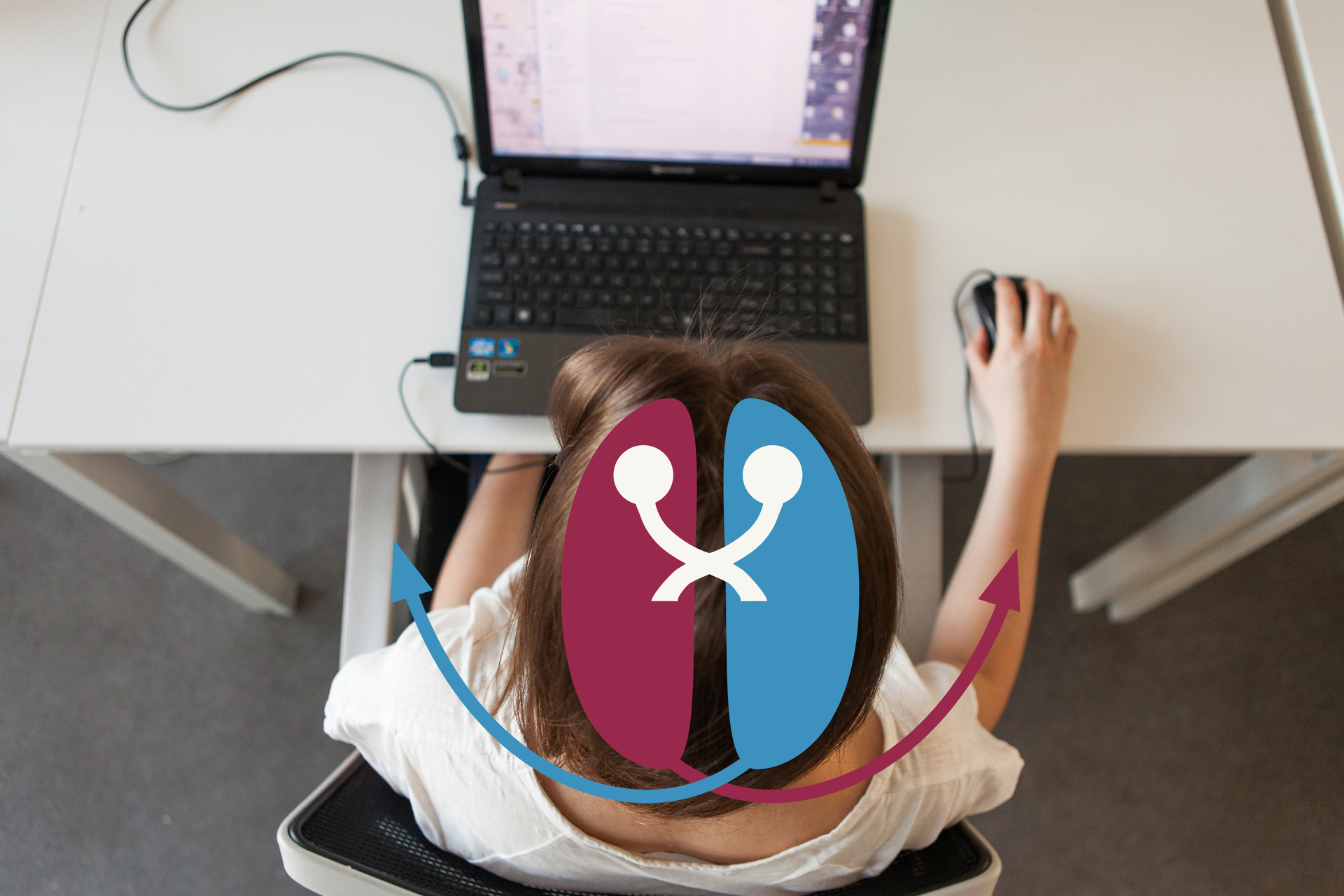 Ilustracja przedstawia dziewczynkę, która siedzi przed komputerem. W prawej ręce trzyma myszkę komputerową. Schemat narysowany w okolicy jej głowy pokazuje, że lewa półkula mózgowa steruje przeciwległą (prawą) stroną ciała.