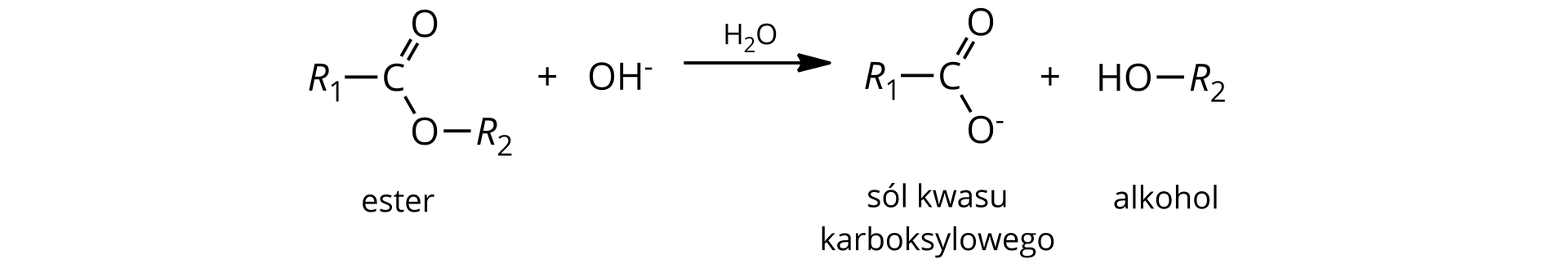 Ilustracja przedstawiająca schemat reakcji hydrolizy zasadowej estru. Cząsteczka estru zbudowana z grupy R1 związanej z atomem węgla połączonym za pomocą wiązania podwójnego z atomem tlenu i za pomocą wiązania pojedynczego z drugim atomem tlenu podstawionym grupą R2. Dodać anion hydroksylowy OH-. Strzałka w prawo, nad strzałką cząsteczka wody. Za strzałką anion soli kwasu karboksylowego zbudowanej z grupy R1 związanej z atomem węgla połączonym za pomocą wiązania podwójnego z atomem tlenu oraz za pomocą wiązania pojedynczego z drugim atomem tlenu obdarzonym ładunkiem ujemny. Dodać cząsteczka alkoholu zbudowana z podstawnika <mathR2 połączonego z grupą hydroksylową OH.