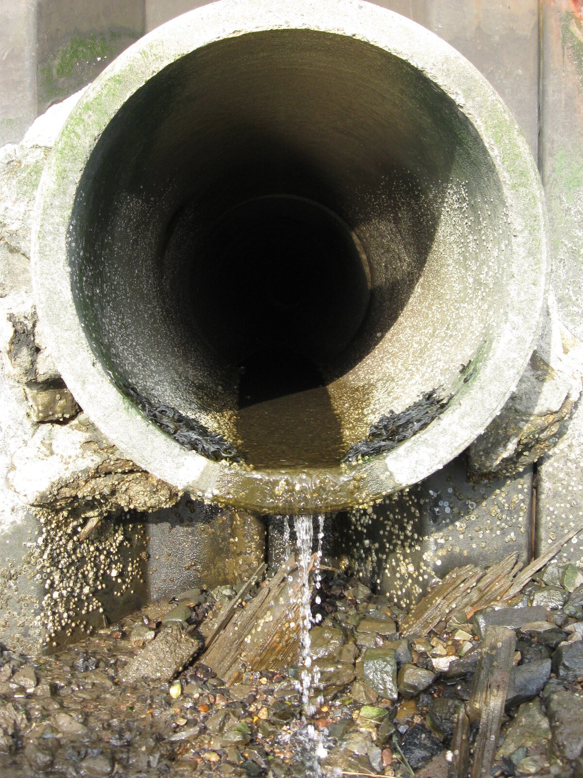 Zdjęcie przedstawia rurę wylotową kanalizacji. Z rury wypływa niewielki strumień wody. Dolna część rury wyraźnie obrośnięta glonami.