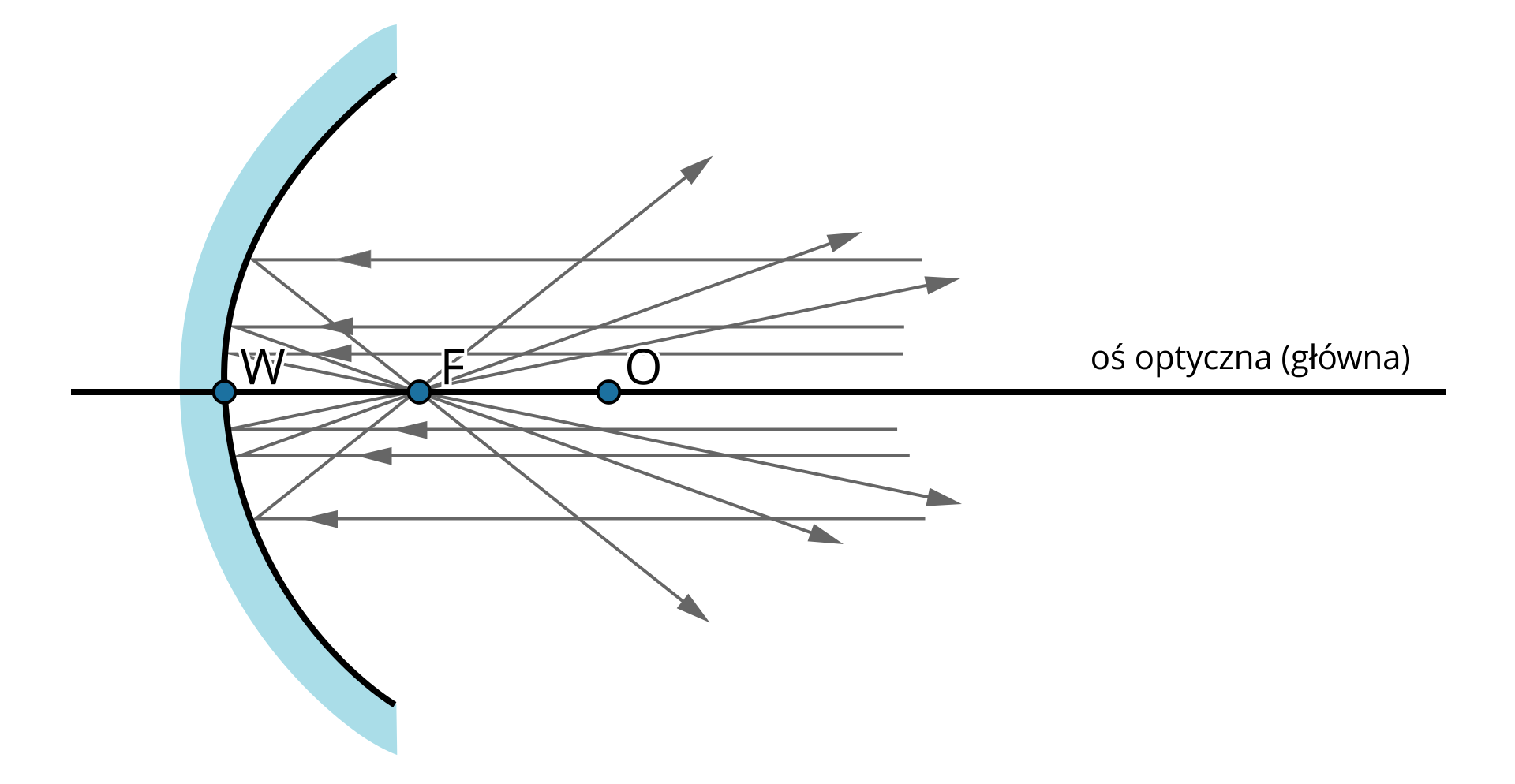 Ilustracja przedstawia schemat zwierciadła kulistego wklęsłego, oraz odbicie promieni równoległych od powierzchni zwierciadła. Zwierciadło przedstawiono jako linię półkolistą z wierzchołkiem skierowanym w lewo. Przez wierzchołek przez cały rysunek biegnie pozioma czarna linia z podpisem: oś główna optyczna. Na linii w punkcie styku z wierzchołkiem podpis: duża litera W.  Na linii następny punkt z podpisem: duża litera ef i w takiej samej odległości następny punkt podpisany: duża litera o. Zwierciadło ustawione pionowo, promienie padają na zwierciadło poziomo. Po odbiciu od zwierciadła, promienie przecinają się w jego ognisku, czyli w punkcie oznaczonym: duża litera ef.