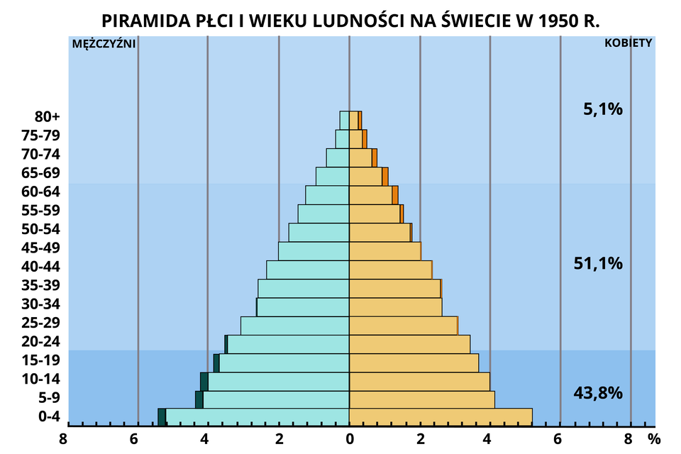 Wykres przedstawia piramidę płci i wieku ludności na świecie w 1950 roku. Na wykresie oznaczono, że 43,8% stanowią kobiety i mężczyźni w wieku od 0 do 20 lat. 51,1% stanowią kobiety i mężczyźni w wieku od 20 do 64 lat. 5,1% stanowią kobiety i mężczyźni w wieku od 69 do 99 lat.   W przedziale 15 - 19 lat mamy około 9% mężczyzn i 9,5% kobiet. W przedziale wiekowym 20‑24 lata mamy około 9% mężczyzn i 9% kobiet. W przedziale 35 - 39 lat mamy około 6,5% mężczyzn i około 7% kobiet. W przedziale 60 - 64 lata mamy około 3% mężczyzn i 5% kobiet.   Piramida ma szeroką podstawę dla wieku mężczyzn i kobiet w wieku  od 0 do 4 lat. Od momentu osiągnięcia przez kobiety i mężczyzn wieku 5‑9 lat i w górę, piramida zaczyna się zwężać. Oznacza to, że co raz mniej kobiet i mężczyzn w kolejnych latach życia było na świecie w 1950 roku. Na wykresie ostatnie dane o wieku kobiet i mężczyzn dotyczą osiągnięcia przez nich lat 80.  Na wykresie oznaczono 1% mężczyzn w wieku 80 lat i 2% kobiet w wieku 80 lat. 