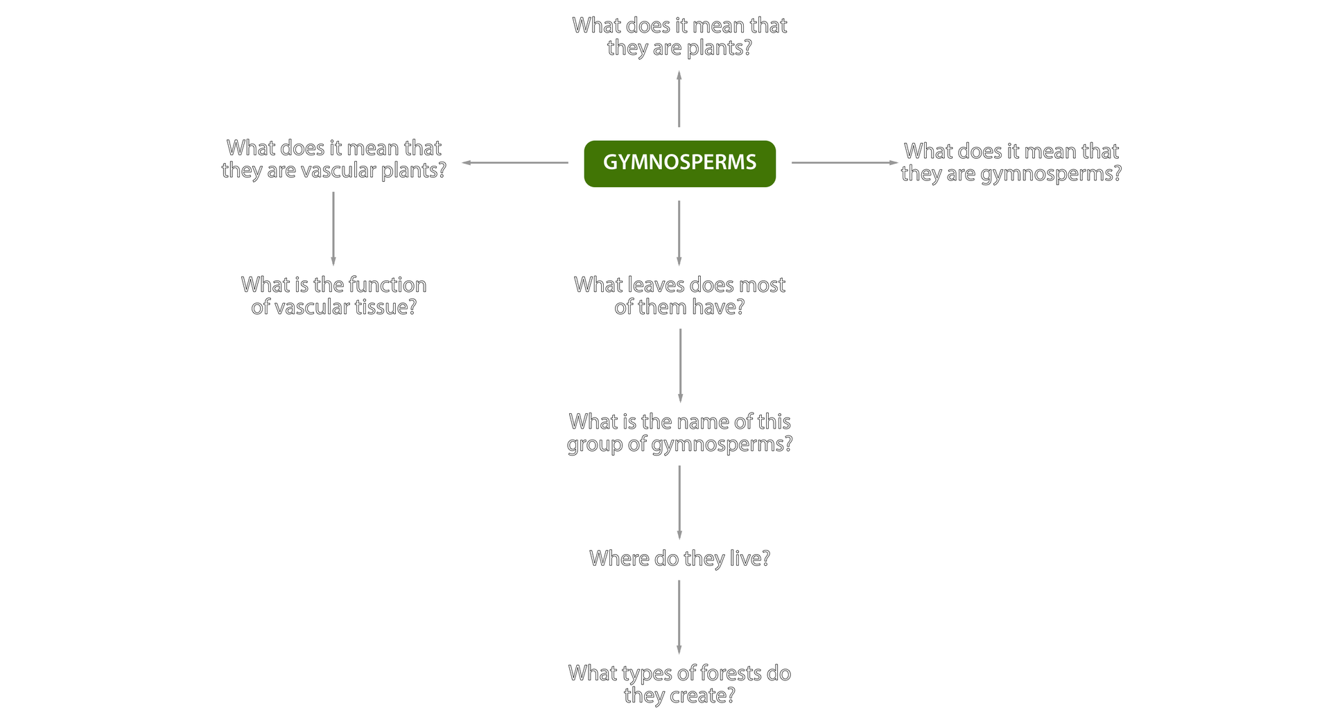 Schemat graficzny przedstawiający mapę pytań dotyczących nagonasienników. Od zielonego zaokrąglonego prostokąta z napisem: Gymnosperms są odprowadzone cztery strzałki z poszczególnymi pytaniami. W górę: What does it mean that they are plants? W prawo: What does it mean that they are gymnosperms? W lewo: What does it mean that they are vascular plants? Od niej: What functions do dishes play? Od zielonego zaokrąglonego prostokąta, w dół: What leaves does most of them have? What is the name of this group of gymnosperms? Where do they live? What woods do they create?