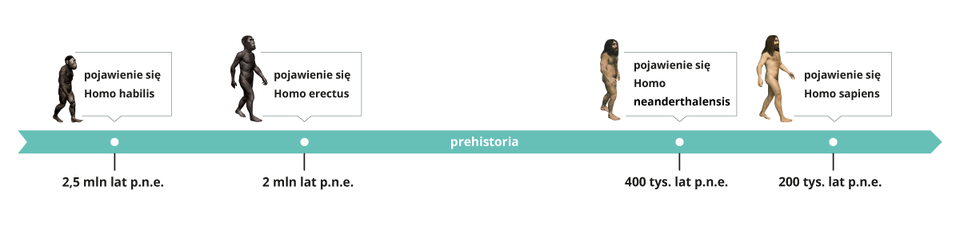 Rysunek osi czasu z sylwetkami gatunków poszczególnych etapów ewolucji człowieka. 2,5 mln lat p.n.e. - pojawienie się Homo habilis - ilustracja przedstawia postać wyprostowanej, dwunożnej, owłosionej istoty o głowie i twarzy przypominające głowę i twarz małpy; 2 mln lat p.n.e. - pojawienie się Homo erectus. Ilustracja przedstawia postać wyprostowanej, dwunożnej, owłosionej istoty o twarzy częściowo zwierzęcej, a częściowo ludzkiej; 400 tys. lat p.n.e. - pojawienie się Homo neanderthalensis. Ilustracja przedstawia neandertalczyka. Wyprostowany, długowłosy człowiek o budowie ciała bardzo podobnej do budowy ciała człowieka współczesnego, lecz o charakterystycznej twarzy z głębokimi oczodołami; 200 tys. lat p.n.e. - pojawienie się Homo sapiens - ilustracja przedstawia sylwetkę przypominającą współczesnego człowieka, wyprostowaną, nagą, z długimi włosami i brodą na głowie. 