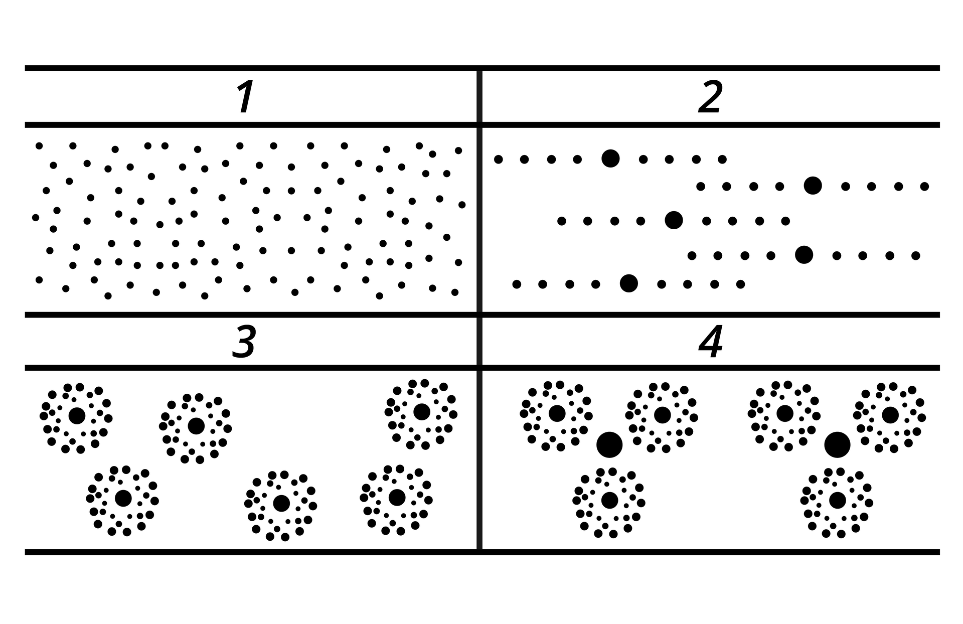 Grafika przedstawia cztery schematy rozmieszczenia włosów na powierzchni skóry. Pierwszy schemat przedstawia rozproszone drobne kropki. Drugi schemat to rzędy drobnych kropek, między którymi znajdują się większe kropki. Trzeci schemat to kilka kółek złożonych z kropek (w centrum każdego kółka znajduje się duża kropka), które przypominają kwiatki. Na czwartym schemacie są podobne kółka, ale tworzą one grupy po trzy, w których środku znajduje się jeszcze większa kropka.