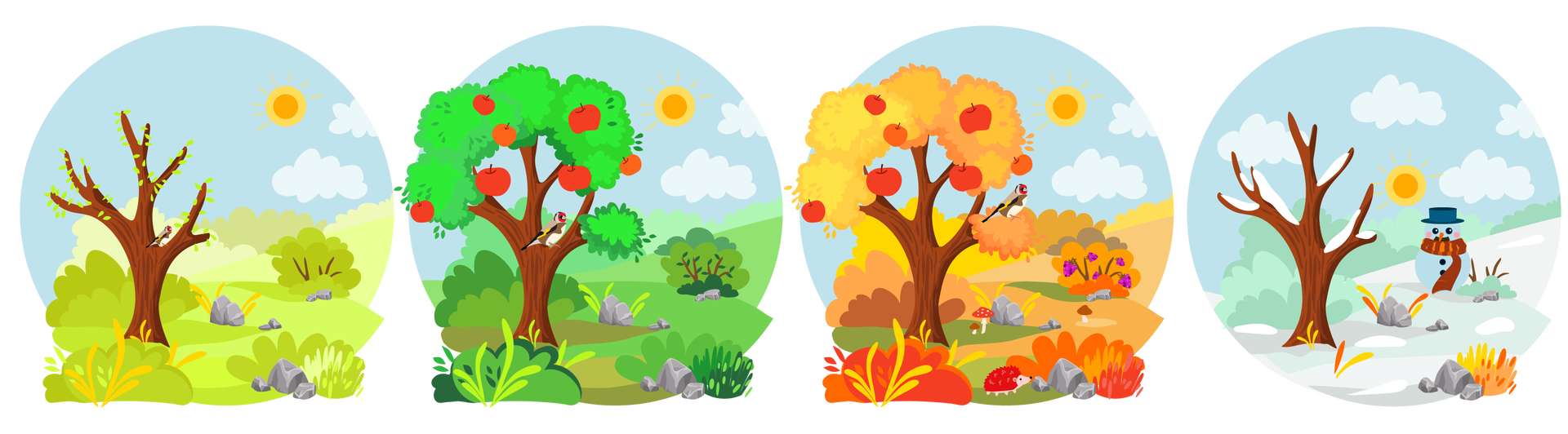 Ilustracja przedstawia to samo drzewo w czterech odsłonach, w zależności od pory roku. Pierwsza jest wiosna. Drzewo porastają drobne zielone listki. Na jednej z gałęzi siedzi ptak. Ma czerwone upierzenie na głowie, czarno‑żółte na skrzydłach i brązowe na brzuchu oraz grzbiecie. To szczygieł. Dookoła rozciąga się teren porośnięty zielenią. Są tam trawy i liczne krzewy. Gdzieniegdzie leżą pojedyncze szare kamienie. W tle widać błękitne niebo ze słońcem i jasnymi chmurami. Druga pora roku to lato. Krajobraz jest identyczny jak na pierwszym obrazku, ale zieleń jest intensywniejsza. Drzewo porastają liczne czerwone jabłka i zielone liście. Trzecia pora roku to jesień. Kolory roślinności są bardziej pomarańczowe. Na jednym z krzewów rosną maliny. W kilku miejscach widać pojedyncze grzyby. Na pierwszym planie stoi jeż. Czwarta pora roku to zima. Teren jest pokryty śniegiem. Drzewo jest pozbawione liści i również ośnieżone, na gałęzi nie siedzi już szczygieł. Po prawej stronie drzewa stoi bałwan w granatowym kapeluszu i ciemnopomarańczowym szaliku w paski. Słońce na niebie znajduje się niżej niż podczas poprzednich pór roku.