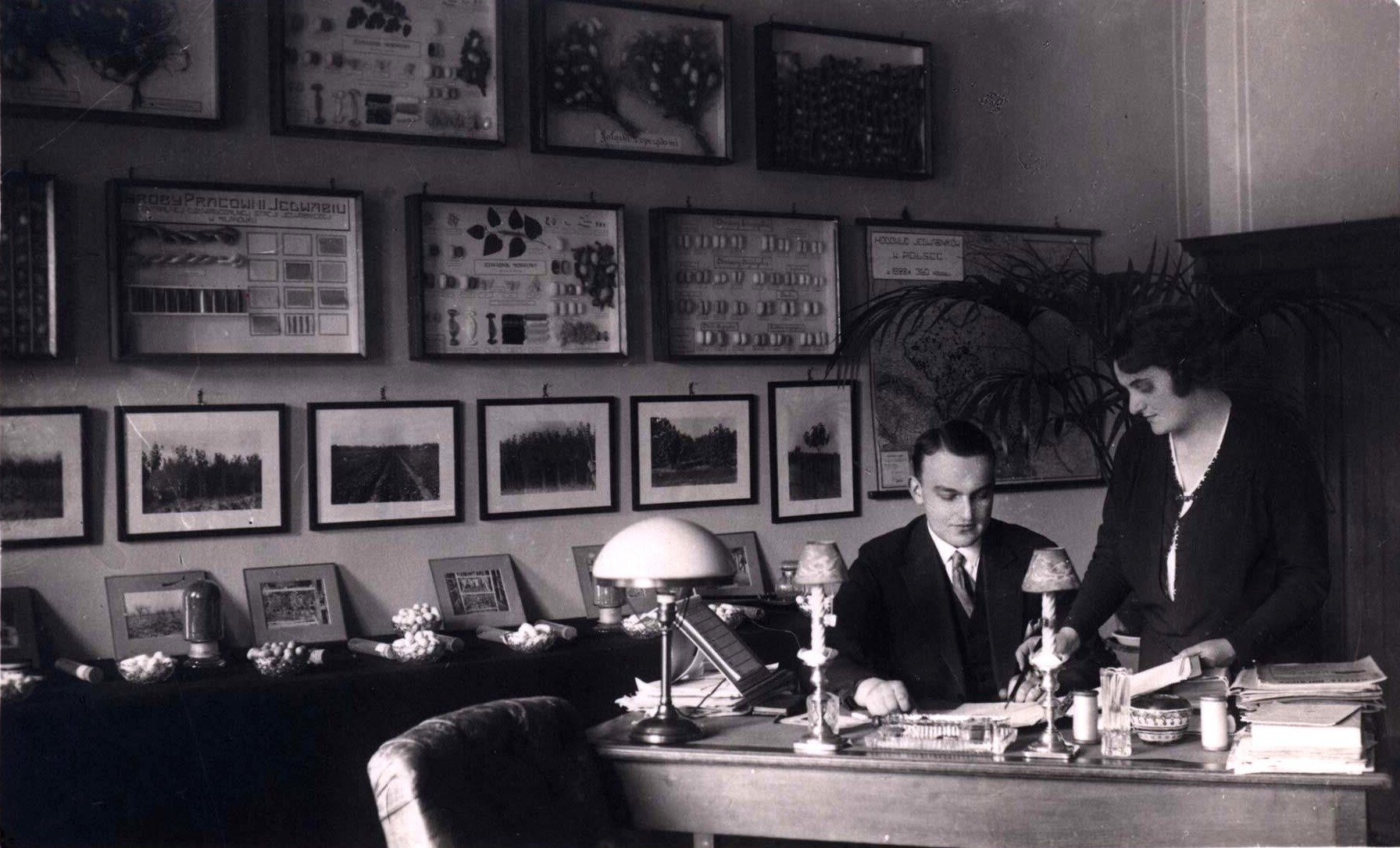 Zdjęcie przedstawia kierownika stacji badawczej w Milanówku z siostrą w gabinecie. Mężczyzna o zaczesanej na prawą stronę grzywce siedzi za biurkiem z dokumentami. Trzyma w lewej dłoni pióro. Po prawej stronie fotografii kobieta w widocznym znad biurka swetrze i bluzce pochyla się nad mężczyzną, wskazując na zapis dokumentów. Na biurku stoją lampy, z czego na krawędzi po lewej stronie ma większy klosz. Zdecydowaną większość przestrzeni na zdjęciu zajmuje ściana z oprawionymi fotografiami i wysuszonymi egzemplarzami fauny i flory, w tym jedwabników i kwiatów. Ramy z egzemplarzami i zdjęciami są równo powieszone w rzędach na ścianie lub oparte o ścianę i stojące na komodzie. Za plecami pary widoczna rosnąca w doniczce palma, przed biurkiem widoczne górne oparcie fotela. Zdjęcie czarno – białe z epoki.