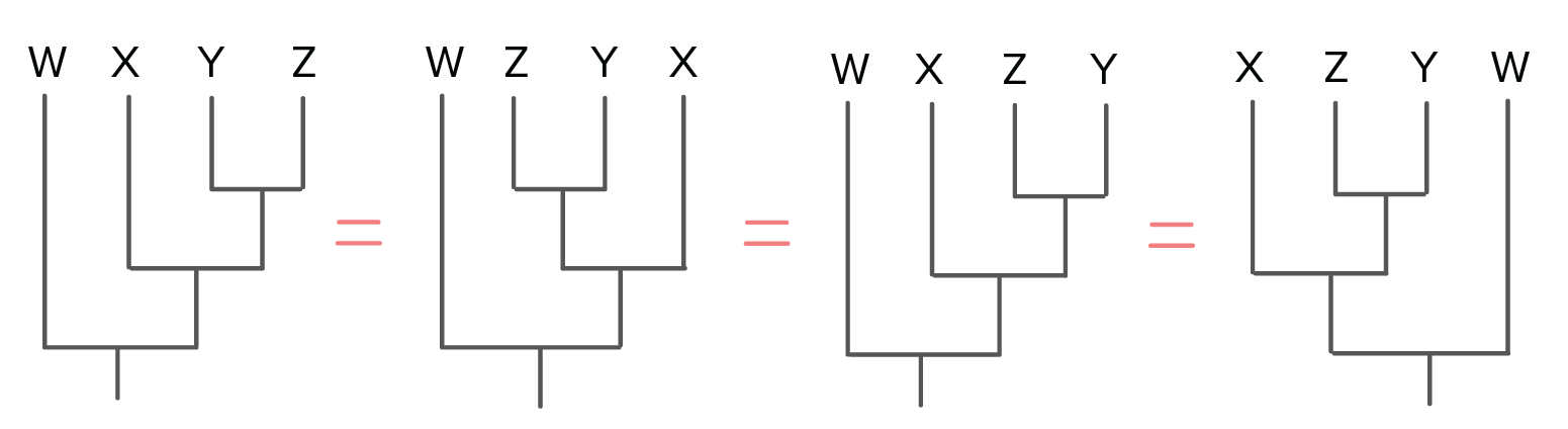 Ilustracja przedstawia drzewa pokazujące te same relacje między czterema gatunkami. Gatunki oznaczono literami W, X, Y, Z. Drzewa różnią się między sobą układem rozgałęzień. Od korzenia linia prowadzi do ostatniego wspólnego przodka W, X, Y, Z. Na pierwszym drzewie w lewo rozgałęzienie do litery W, w prawo do węzła wewnętrznego. Stamtąd w lewo do litery X, a w prawo do rozwidlenia na Y i Z. Na kolejnym drzewie w opisanym miejscu jest w prawo do litery X, a w lewo rozwidlenie na Y i Z. W kolejnym drzewie względem pierwszego opisanego drzewa zamieniono kolejność liter i jest Z oraz Y, a nie Y i Z. W ostatnim drzewie gatunek oznaczony literą W jest po prawej stronie drzewa. Rozgałęzienie z gatunkami X oraz Z i Y jest po lewej stronie. Pomiędzy drzewami są znaki równości.