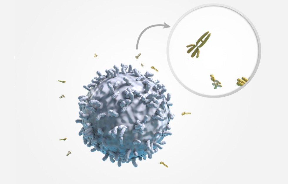 Ilustracja przedstawia niebieski limfocyt o nierównej powierzchni. Wokół niego umieszczono osiem żółtych, podłużnych, rozgałęzionych białek - przeciwciał.