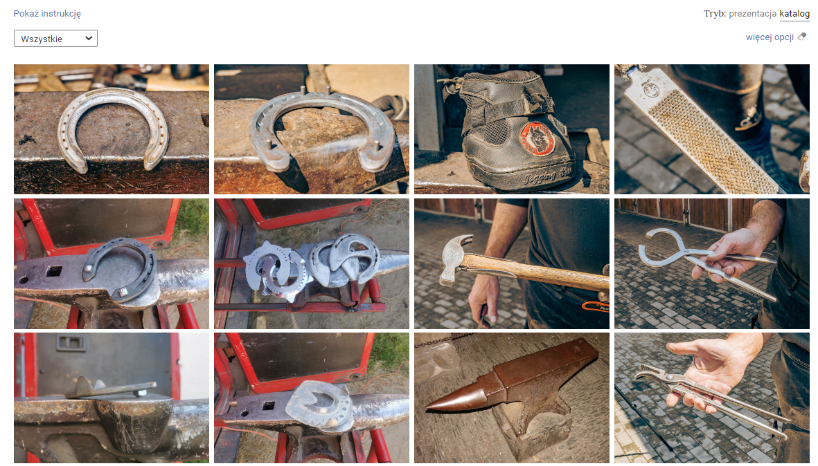 Ogólny widok galerii zdjęć. Widocznych jest dwanaście miniaturek zdjęć przedstawiających podkowy oraz narzędzia kowalskie.  