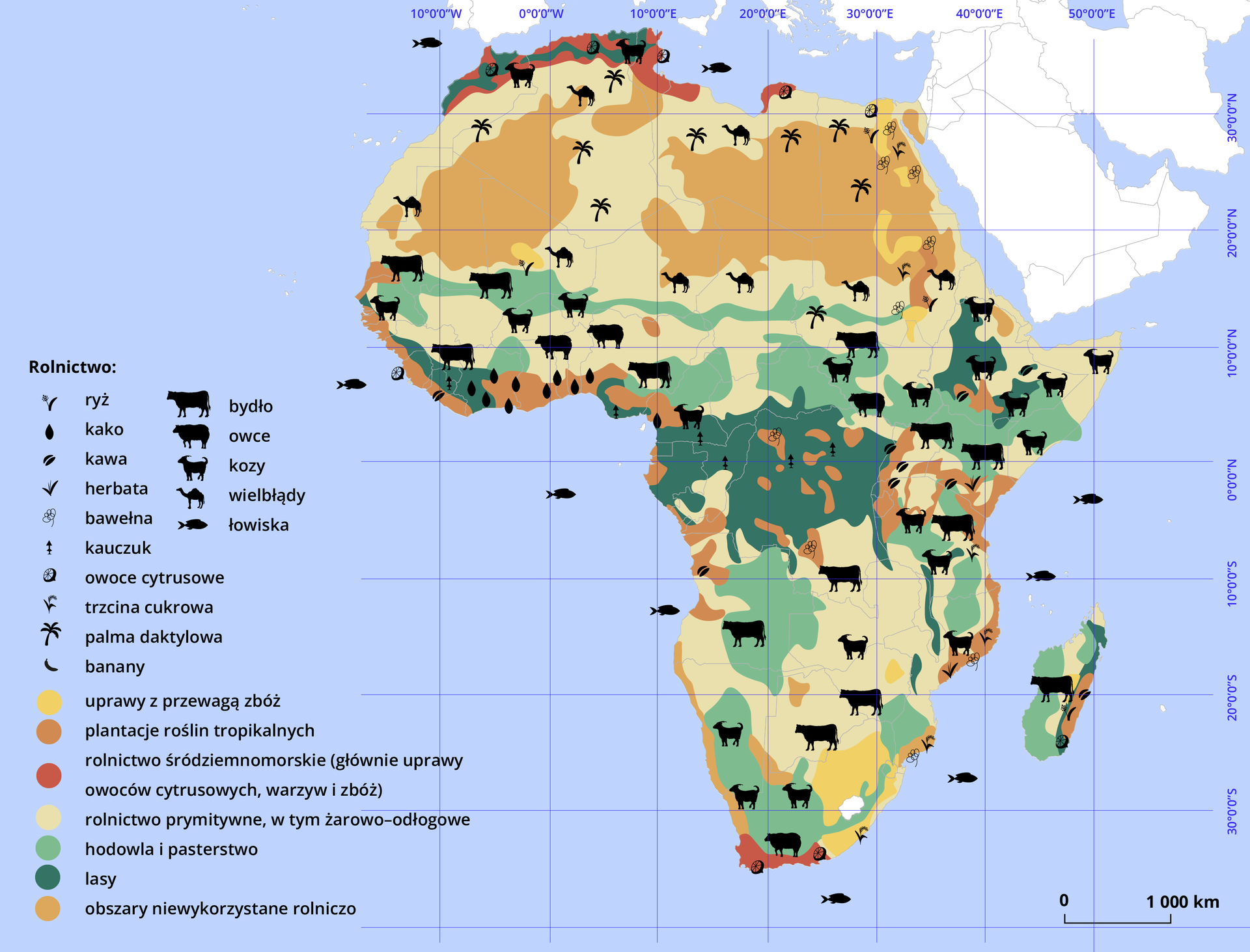 Mapa Afryki przedstawiająca typy rolnictwa. W lewym dolnym rogu legenda z symbolami wybranymi dla danych upraw oraz kolorami dla typów rolnictwa. Wyszczególniono uprawy ryżu, kakao, kawy, herbaty, bawełny, kauczuku, owoców cytrusowych, trzciny cukrowej, palmy daktylowej, bananów oraz hodowlę bydła, owcy, kóz, wielbłądów oraz łowiska. Wybranymi kolorami zaznaczono uprawy z przewagą zbóż (żółty) - występującą na południowym wschodzie Afryki, plantacje roślin tropikalnych (pomarańczowy) - występującą na zachodnich wybrzeżach kontynentu oraz obszarowo w centralnej części Afryki, rolnictwo śródziemnomorskie (głównie uprawy owoców cytrusowych, warzyw i zbóż; kolor czerwony) - występujące w dwóch obszarach - na północnym wybrzeżu i południowym wybrzeżu kontynentu; rolnictwo prymitywne, w tym żarowo‑odłogowe (kolor piaskowy) - występujące na obszarach Sahary oraz w południowej części kontynentu; hodowlę i pasterstwo (jasnozielony) - występujący obszarowo na południe od Sahary; lasy (ciemnozielony) - występujące głównie w Afryce Środkowej; obszary niewykorzystane rolniczo (jasnopomarańczowy) - występujące głównie na obszarze Sahary.

W prawym dolnym rogu podziałka z wyznaczonym odcinkiem tysiąca kilometrów.