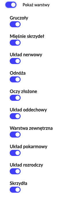 Grafika przedstawia listę warstw modelu 3D. Po lewej stronie znajdują się podłużne niebieskie przyciski umożliwiające włączanie i wyłączanie danych struktury. Obok nich, po prawej stronie przycisków nazwy warstw.