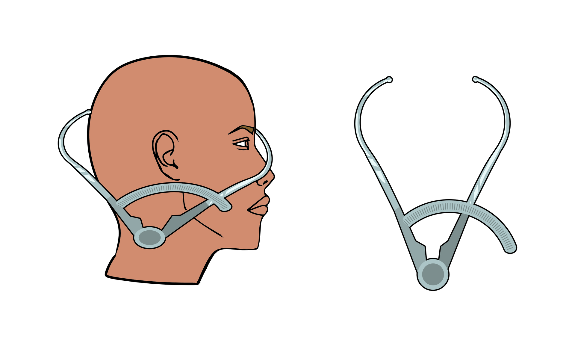Grafika przedstawiająca cyrkiel kabłąkowy, czyli metalowy przyrząd przypominający zagiętą pęsetę z miarką przy miejscu połączenia ramion. Aby zmierzyć długość czaszki, cyrkiel przykłada się do czaszki w taki sposób, że jedno ramię dotyka środka czoła, a drugie środka potylicy. Wynik jest sczytywany z miarki. 
