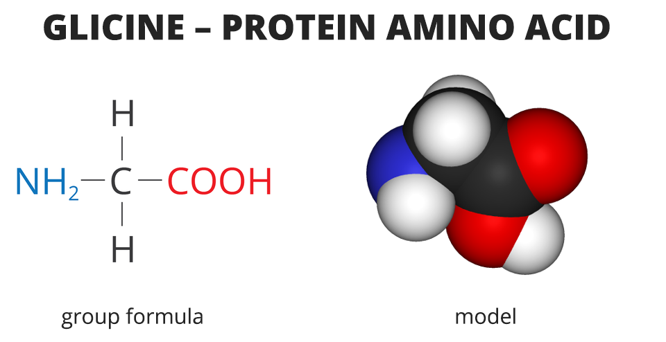 Schemat Aminokwasu glicyny, przedstawiający białkową grupę aminokwasu. Na schemacie przedstawiono wzór strukturalny grupy, group formula oraz model cząsteczki, model. Wzór sumaryczny: en ha dwa ce ha dwa ce o o ha.
