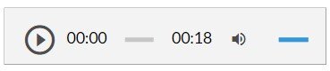 Grafika przedstawia panel odtwarzacza. Od lewej widoczna jest ikona włączenia odtwarzacza – ikona składa się z trójkąta wpisanego w okrąg. Wierzchołek trójkąta skierowany jest w prawo. Oba kształty są ciemnoszare. Tło jest siwe. Następnie widoczny jest pasek z czasem nagrania – od lewej początek nagrania 00:00, następnie siwy krótki pasek, a po prawej czas całego nagrania – osiemnaście sekund.Po lewej widnieją ikony  zmiany głośności dźwięku w nagraniu. Składa się on z ikony megafonu skierowanego w prawo, od którego odchodzą dwie półokrągłe linie symbolizujące fale dźwiękowe. Po prawej stronie megafonu znajduje się niebieski pasek, który umożliwia zmianę poziomu głośności.