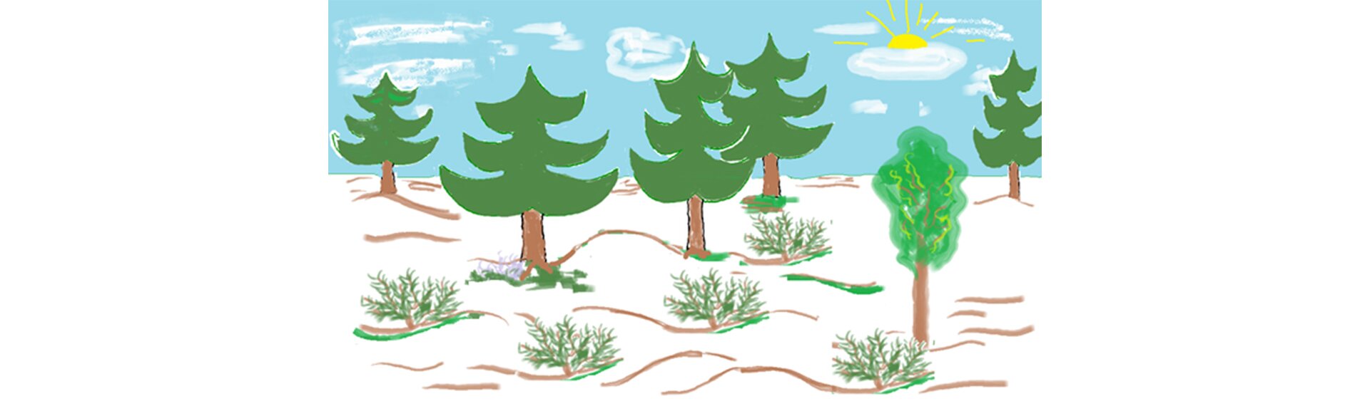 Ilustracja przedstawia las, niebo i ziemię narysowanymi za pomocą różnych technik pędzla. 