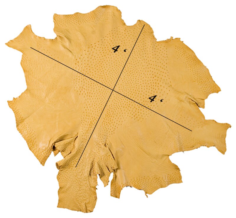 Zdjęcie przedstawia płat skóry ze strusia. Od strony lica skóra jest beżowa i chropowata. 
