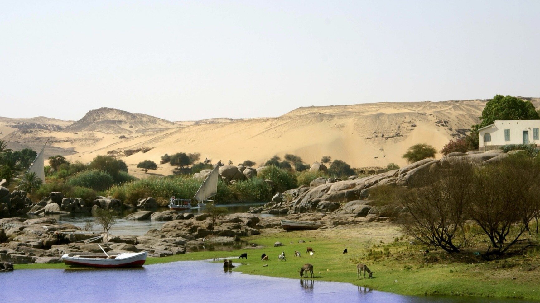 Fotografia przedstawiająca krajobraz przybrzeżny rzeki Nil. Na pierwszym planie płaski brzeg porośnięty trawą, na którym pasą się zwierzęta hodowlane. Po lewej stronie przycumowana łódź. Dalej widoczne są odsłonięte fragmenty skał, roślinność oazowa i dwie żaglówki. W tle wydmy.