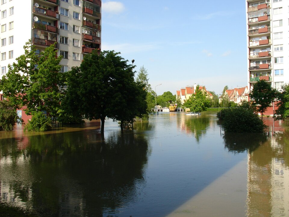 Zdjęcie przedstawia powódź we Wrocławiu. Woda sięga podstawy koron drzew oraz parteru bloków. W tle znajdują się zabudowania jednorodzinne.