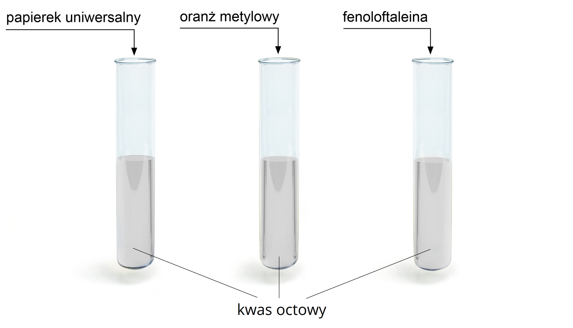 Na ilustracji są trzy probówki z bezbarwnym kwasem etanowym. Do pierwszej włożono papierek uniwersalny, do drugiej dodano oranż metylowy, do trzeciej fenoloftaleinę. 