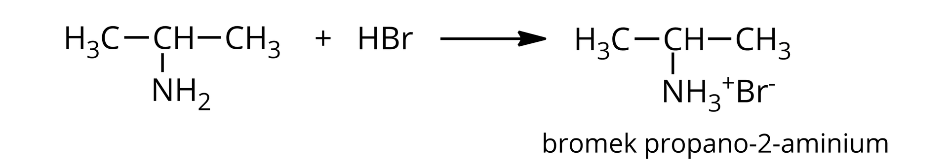 Ilustracja przedstawia równanie reakcji propano-2-aminy z bromowodorem. Cząsteczka aminy zbudowana z grupy CH połączonej za pomocą wiązań pojedynczych z dwiema grupami metylowymi CH3 oraz z grupą aminową NH2. Dodać cząsteczkę HBr, czyli bromowodoru. Strzałka w prawo, za strzałką cząsteczka bromku propano-2-aminium. Jest ona zbudowana z grupy CH połączonej za pomocą wiązań pojedynczych z dwiema grupami metylowymi CH3 oraz z grupą amoniową NH3+Br-. 