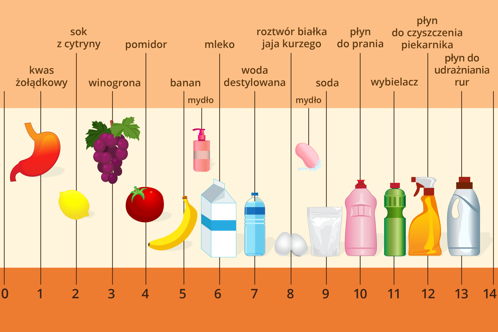 Kolorowa tabela opisująca odczyn przykładowych substancji w skali pH. W dolnej części ilustracji znajduje się skala ponumerowana od zera do czternastu. W centralnej części umieszczono rysunki różnych przedmiotów, obiektów naturalnych i substancji, a w górnej części ich nazwy. Z tabeli można się dowiedzieć, że kwas żołądkowy ma odczyn pH wynoszący 1, sok z cytryny dwa, winogrona trzy, pomidory cztery, banany pięć, mydło w płynie pięć i pół, mleko sześć, woda destylowana siedem (a więc jest obojętna), białko jajka kurzego osiem, mydło tradycyjne osiem i pół, soda dziewięć, płyn do prania dziesięć, wybielacz jedenaście, płyn do czyszczenia piekarnika dwanaście, a płyn do udrażniania rur trzynaście.