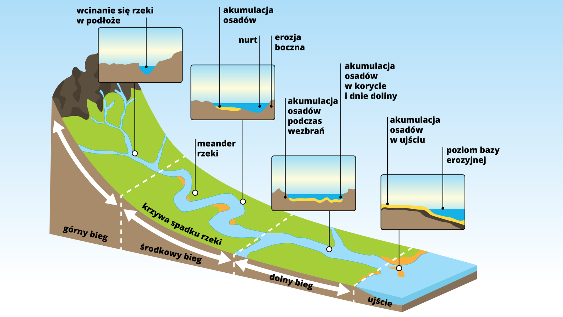 Na ilustracji widoczne jest przedstawienie przekroju rzeki. W górnym biegu, z brązowego masywu górskiego, wypływa wąski, rozgałęziony kanał rzeki, widoczne jest przybliżenie na fragment wcinania się rzeki w podłoże, gdzie woda pozostaje w wytworzonych dołkach. W środkowym biegu, koryto rzeki poszerza się i powstają meandry rzeki. Przybliżenie skierowane jest na fragment, w którym pod powierzchnią wody, widoczne są żółte akumulacje osadów oraz erozja boczna, która blokuje przepływ wody. W dolnym biegu rzeki widoczna jest żółta akumulacja osadów pod powierzchnią wody powstała podczas wezbrań oraz akumulacja osadów pod powierzchnią wody w korycie i dolinie. W ujściu rzeki widoczne jest połączenie się rzeki z rozległym zalewem oraz akumulację żółtych osadów w ujściu oraz poziom bazy erozyjnej.