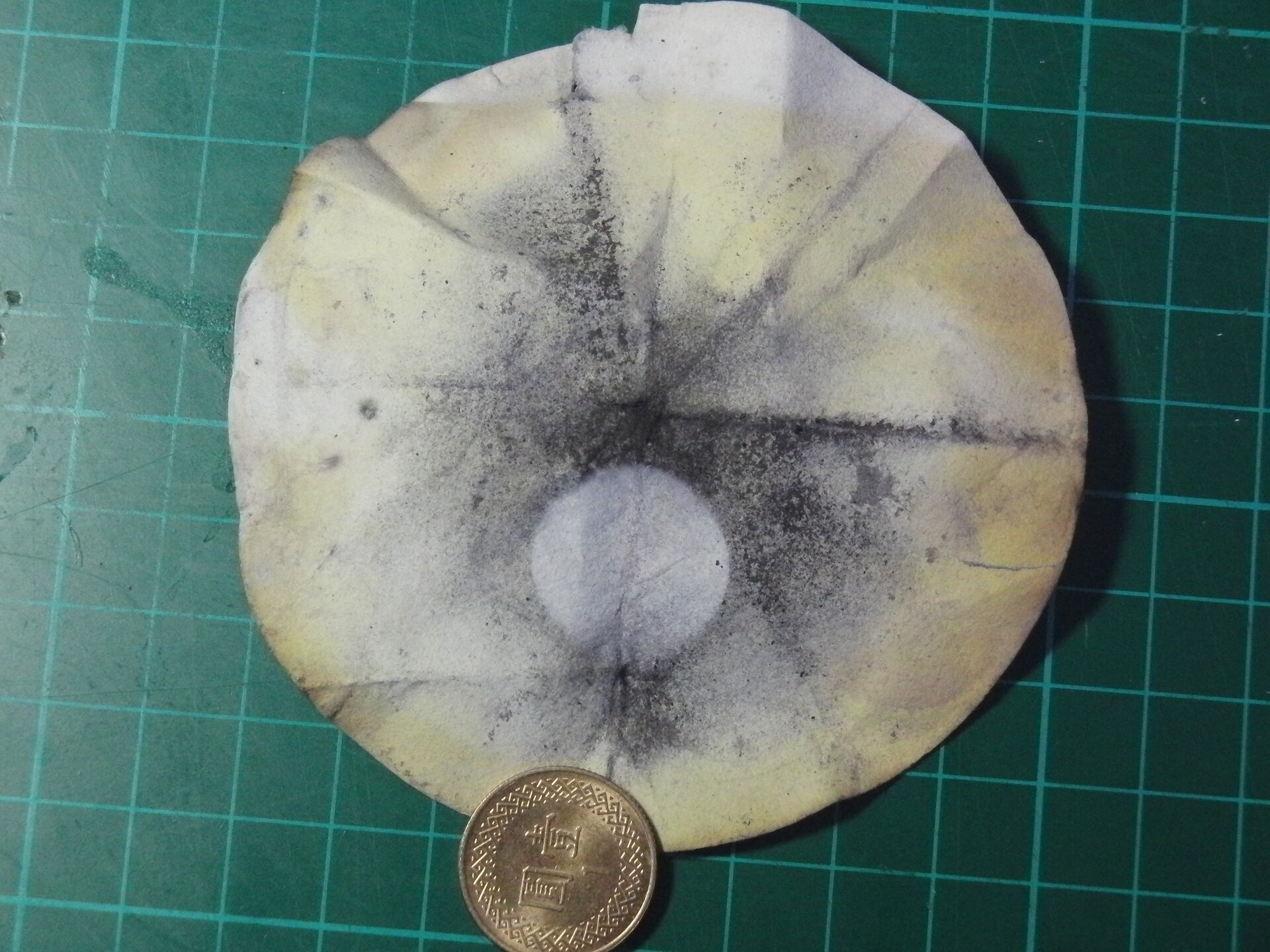 Ilustracja przedstawia okrągły sączek z szarym osadem, osad jest dużo jaśniejszy prawie biały w miejscu gdzie leżała moneta. Moneta jest odsunięta na skraj sączka, żeby pokazać że biały ślad jest tej samej wielkości. Całość leży na blacie z zielonych kwadratowych płytek.