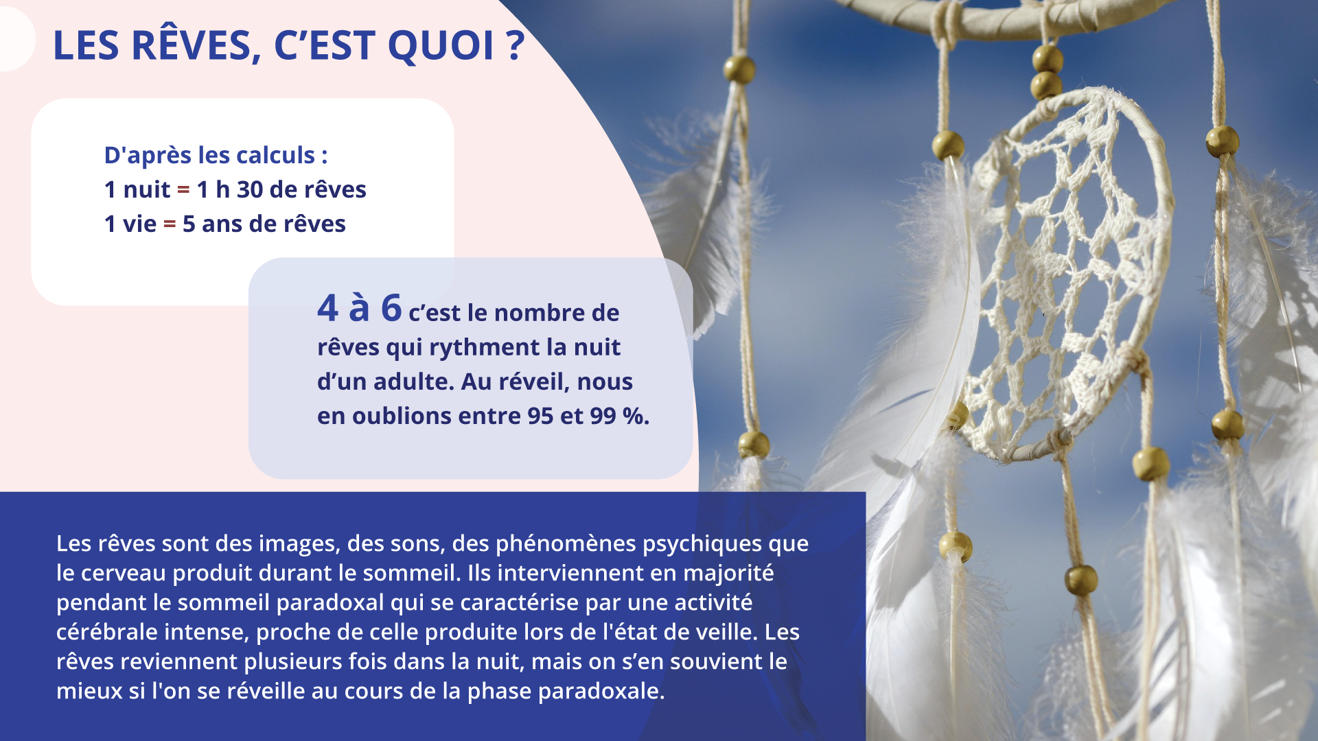 Grafika zatytułowana jest LES RÊVES, C'EST QUOI ? Z lewej strony znajdują się trzy ramki z tekstem a z prawej zdjęcie łapacza snów. Ramka pierwsza. D'après les calculs :
1 nuit = 1 h 30 de rêves
1 vie = 5 ans de rêves
Ramka druga. 4 à 6 c'est le nombre de rêves qui rythment la nuit d'un adulte. Au réveil, nous en oublions entre 95 et 99 %.
Ramka trzecia. Les rêves sont des images, des sons, des phénomènes psychiques que le cerveau produit durant le sommeil. Ils interviennent en majorité pendant le sommeil paradoxal qui se caractérise par une activité cérébrale intense, proche de celle produite lors de l'état de veille. Les rêves reviennent plusieurs fois dans la nuit, mais on s'en souvient le mieux si l'on se réveille au cours de la phase paradoxale.