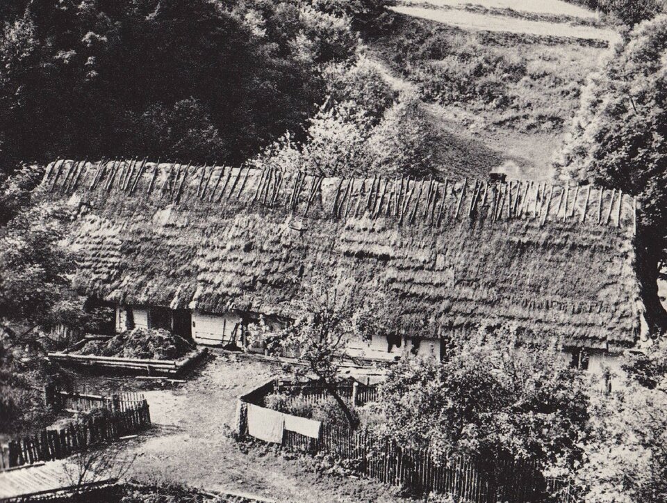 Ilustracja przedstawia łemkowską chyże krytą słomą w Cisnej w 1968 r. Ukazuje ona drewnianą zagrodę jednobudynkową widoczną z lotu ptaka.