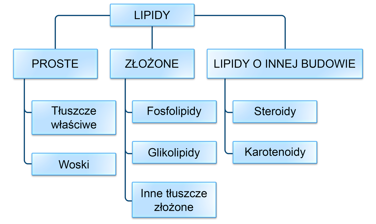 Schemat przedstawia podział lipidów ze względu na budowę. Zostały one podzielone na trzy kategorie: lipidy proste do których zaliczono tłuszcze właściwe oraz woski. Lipidy złożone takie jak fosfolipidy, glikolipidy i inne tłuszcze złożone oraz lipidy o innej budowie do których zaliczają się steroidy i karotenoidy.