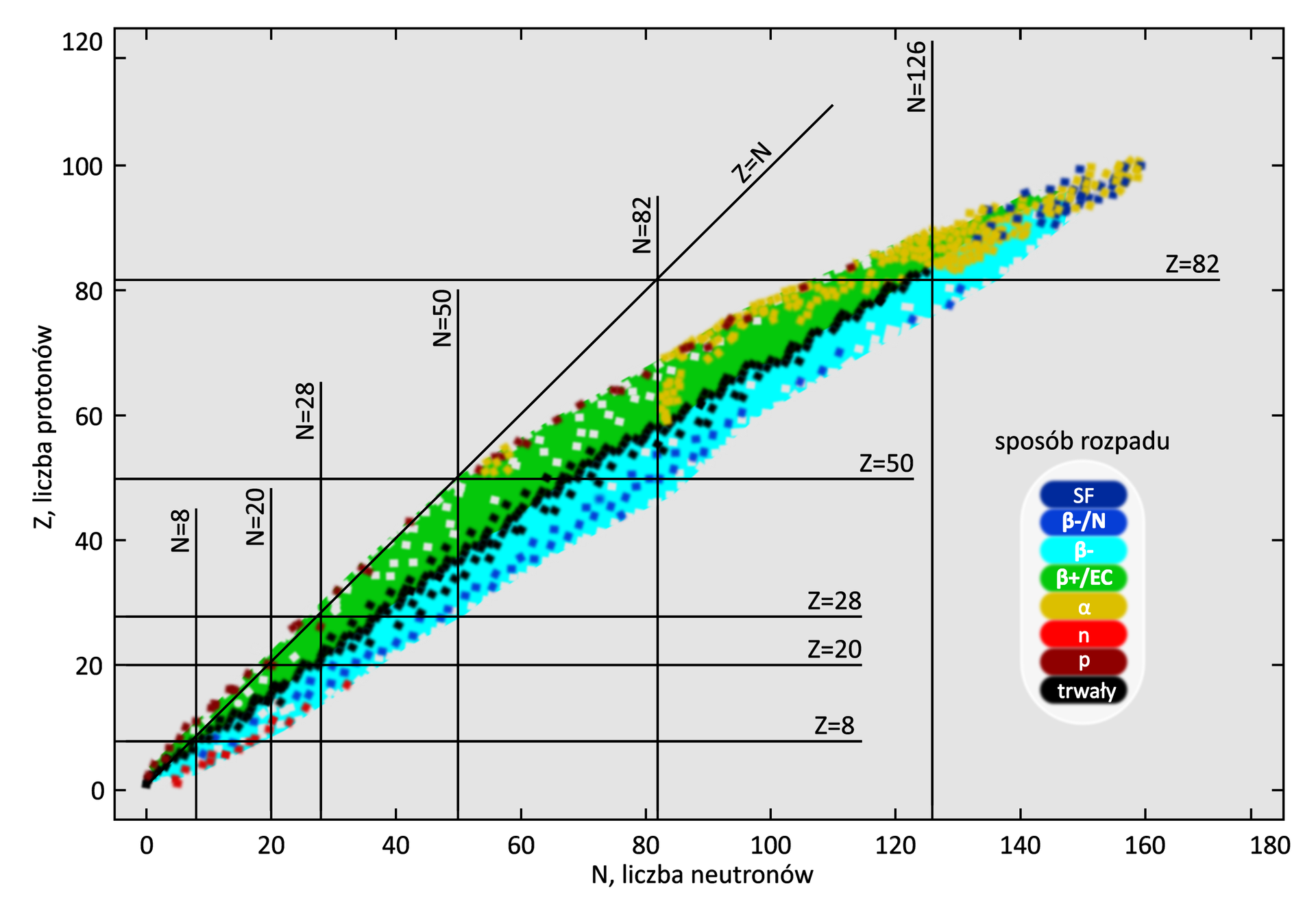 Na wykresie przedstawiono zależność Z - liczby protonów od N - liczby neutronów. Pomiędzy osią X i Y poprowadzona jest linia na skos nachylona pod kątem 45 stopni w stosunku do osi X. Kiedy liczba protonów jest równa liczbie neutronów punkty odpowiadające trwałości jądra atomowego układają się wzdłuż linii prostej. Im większa jest liczba atomowa, tym punkty punkty sprawiają wrażenie położonych chaotycznie. Znajdują się pod linią wyznaczoną na początku wykresu. Dodatkowo dla izotopów o liczbie protonów mniejszej od 30, stosunek liczby neutronów do liczby protonów w jądrze atomu wynosi 1 lub nieznacznie więcej, a zatem atom powinien być trwały.