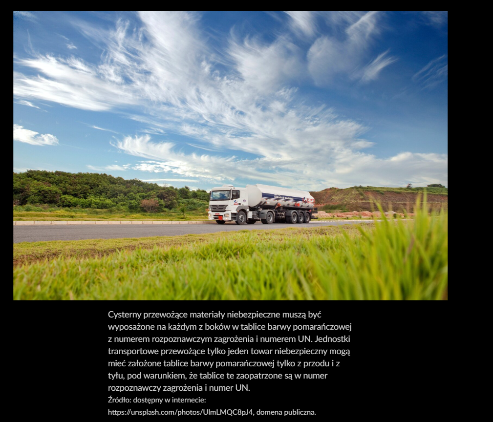 Grafika przedstawia przykładowy widok wybranej grafiki. Jest to zdjęcie pod którym znajduje się opis dołączony do grafiki.