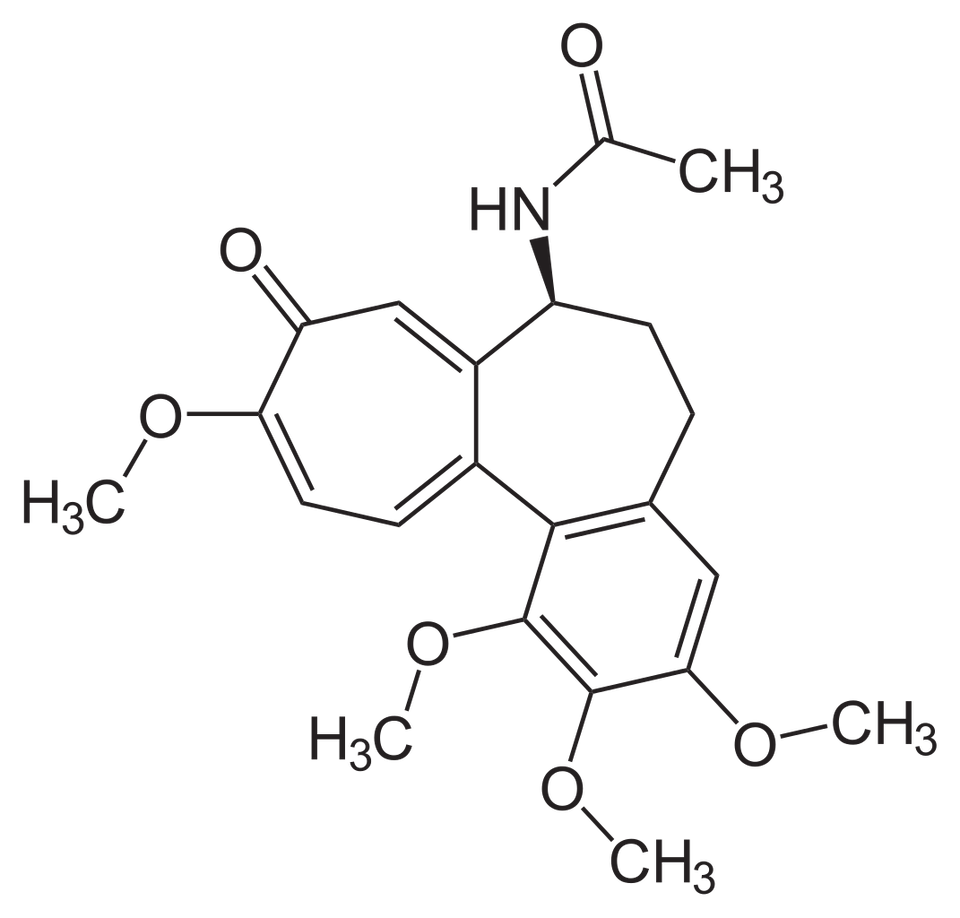 Grafika przedstawia wzór strukturalny kolchicyny o wzorze sumarycznym C indeks dolny 22 H indeks dolny 25 N O indeks dolny 6. Widoczne są trzy pierścienie. W centrum cząsteczki znajduje się układ sprzężonych pierścieni: jeden sześciowęglowy i dwa siedmiowęglowe. W lewej części cząsteczki znajduje się pierścień aromatyczny, do którego dołączone są grupa metoksylowa w pozycji orto względem grupy ketonowej, grupa ketonowa połączona bezpośrednio z pierścieniem oraz druga grupa metoksylowa po drugiej stronie pierścienia. W dolnej części cząsteczki znajdują się dwie dodatkowe grupy metoksylowe przyłączone do innego pierścienia aromatycznego. W prawej górnej części cząsteczki znajduje się grupa amidowa. Azot amidowy połączony z węglem szkieletu cząsteczki oraz z grupą karbonylową. Do atomu węgla grupy karbonylowej przyłączona jest grupa metylowa. Wiązanie pomiędzy azotem amidowym a szkieletem cząsteczki zostało oznaczone jako klin (gruba kreska), co wskazuje na jego przestrzenną orientację (wiązanie wychodzące do przodu z płaszczyzny rysunku).
