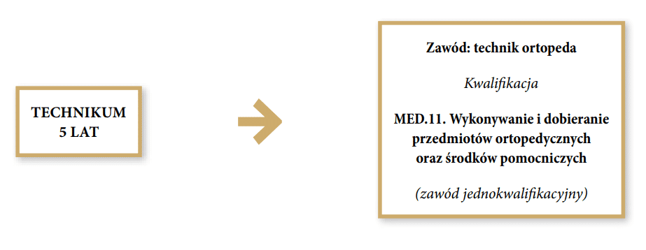 Grafika przedstawia ścieżkę możliwości kształcenia w zawodzie technik ortopeda. Pierwszym krokiem do zawodu technika ortopedy jest ukończenie pięciu lat technikum. Drugim krokiem jest ukończenie kwalifikacji em e de Wykonywanie i dobieranie przedmiotów ortopedycznych oraz środków pomocniczych. Otrzymamy w ten sposób zawód technika ortopedy.  