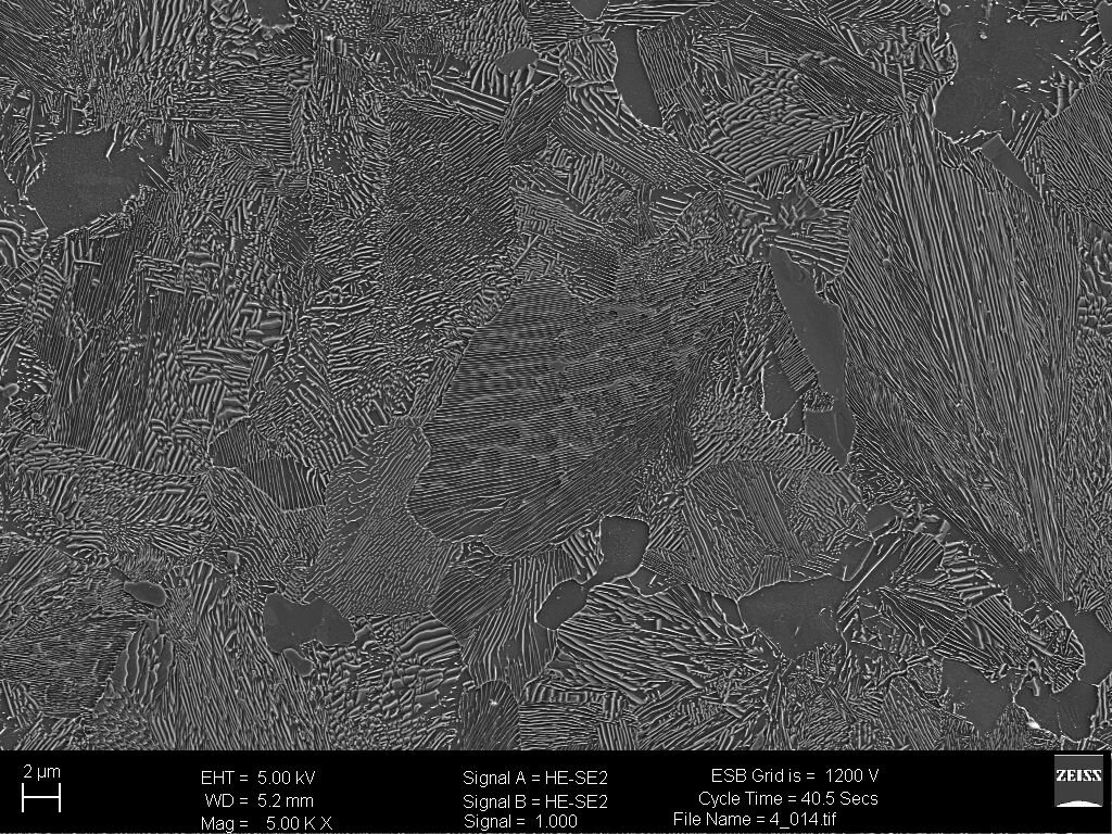 Stop o zawartości węgla 0,77%
 W strukturze perlitu widoczne płytki cementytu i ferrytu - zdjęcie wykonane na mikroskopie SEM 