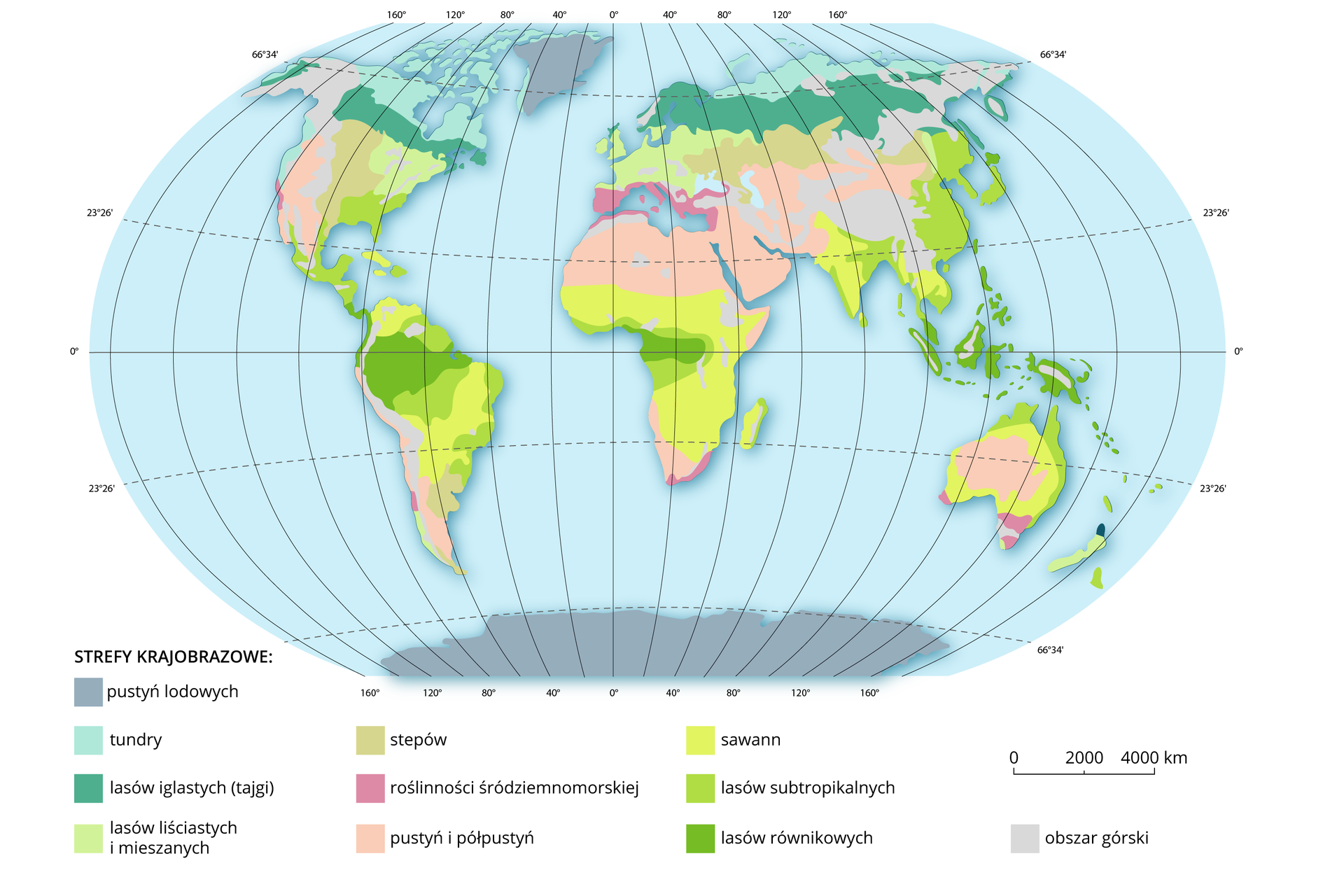 Ilustracja przedstawiająca mapę świata, na której wyszczególniono różnymi kolorami strefy krajobrazowe. Wyróżniono następujące strefy: pustynie lodowe, tundrę, lasy iglaste (tajga), lasy liściaste i mieszane, stepy, roślinność śródziemnomorską, pustynie i półpustynie, sawanny, lasy subtropikalne, lasy równikowe i obszary górskie. Kolejność wymienionych tu stref (z wyłączeniem obszarów górskich) w przybliżeniu odpowiada kolejności ich występowania, począwszy od biegunów (strefa pustyń lodowych) po lasy równikowe.