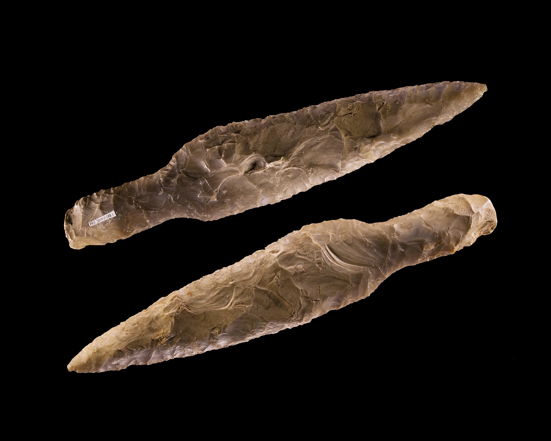 Zdjęcie przedstawia dwa narzędzia z krzemienia na czarnym tle opatrzone małymi etykietkami z numerami katalogowymi. Narzędzia te mają kształty grotów włóczni lub strzał, lecz brak skali porównawczej uniemożliwia ocenę ich wielkości. Narzędzia mają kolor piaskowy.